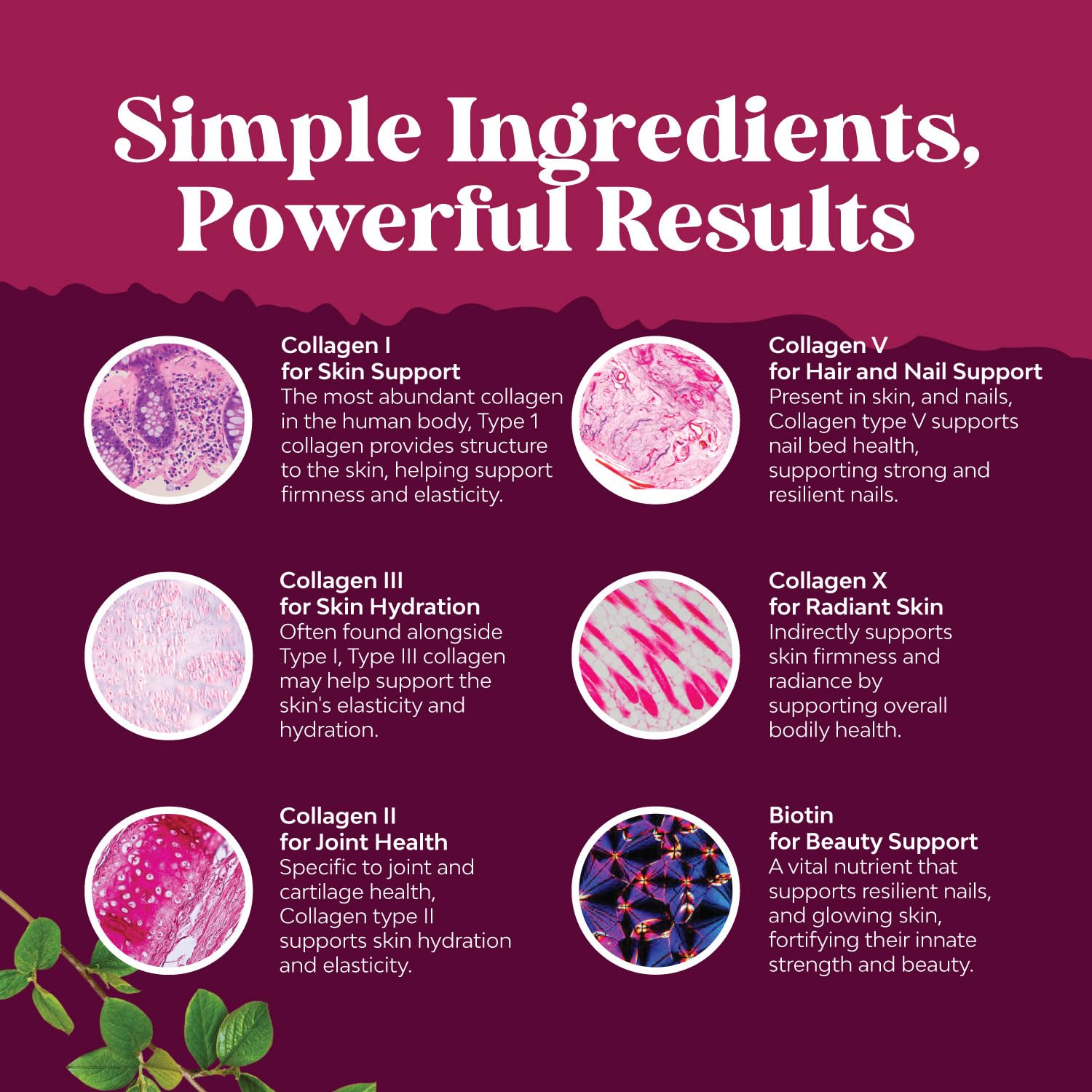 Advanced Multi Collagen Complex - Ageless Multi Collagen Peptides Supplements with Type 1 2 3 5 & X & Biotin for Hair, Skin and Nails Vitamins - Biotin Supplements for Women & Men - 90 Count Natures Craft uk supplements