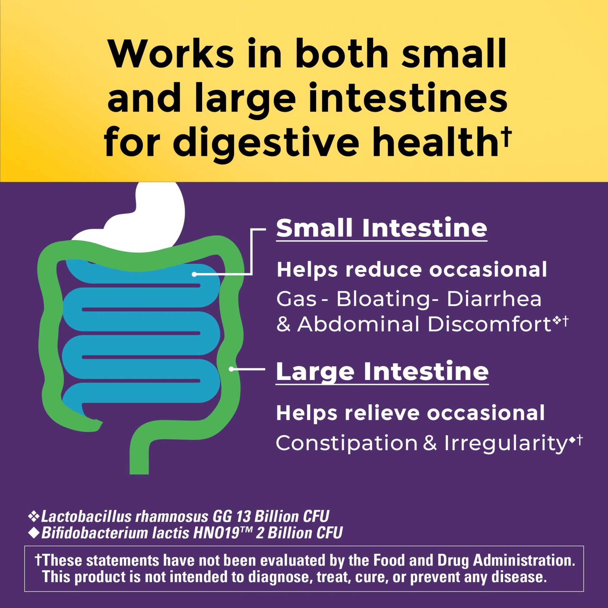 Nature Made Probiotics for Digestive Health Extra Strength 15 Billion CFU from Live Cultures, Probiotics for Women and Men, 30 Probiotic Capsules, 30 Day Supply Nature Made uk supplements