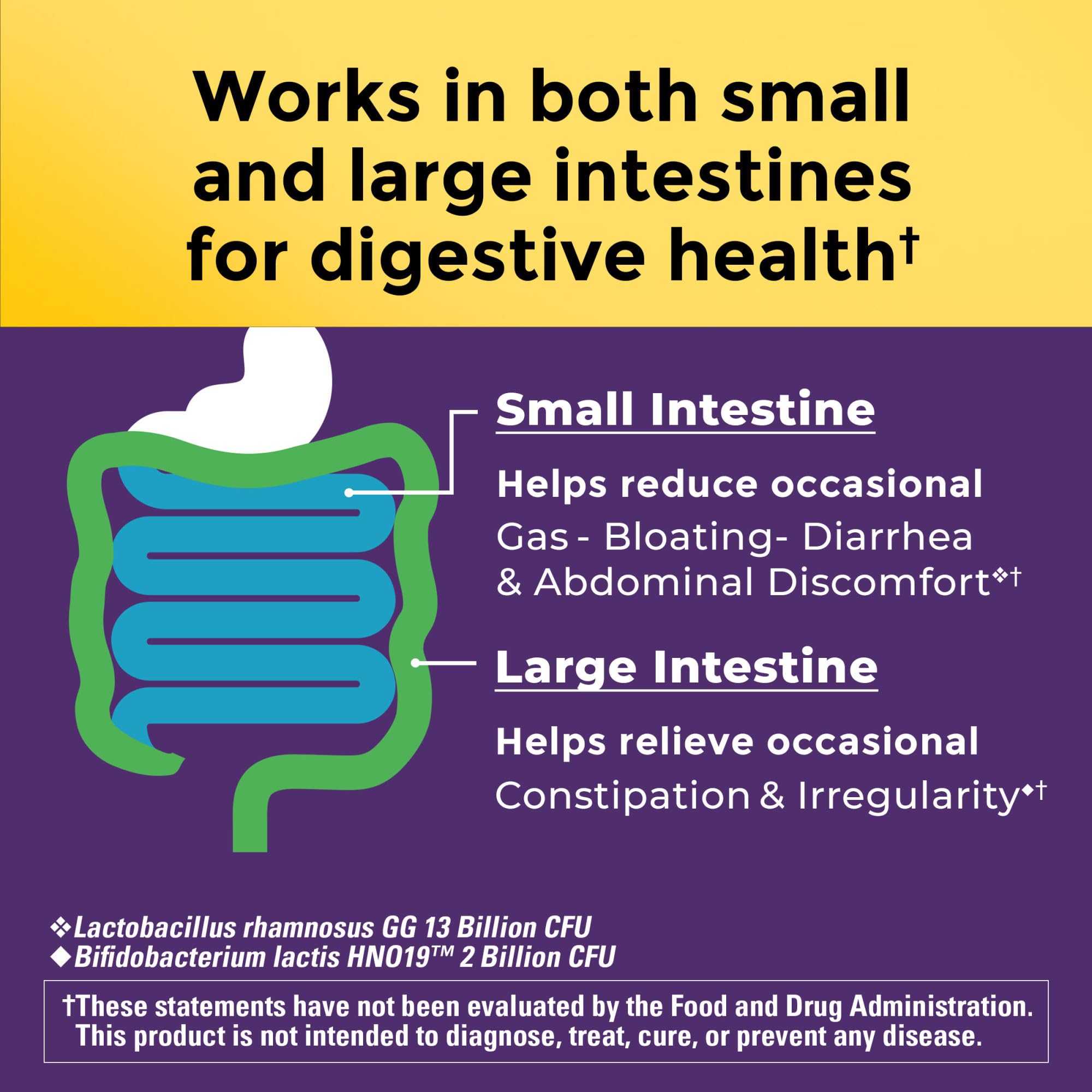 Nature Made Probiotics for Digestive Health Extra Strength 15 Billion CFU from Live Cultures, Probiotics for Women and Men, 30 Probiotic Capsules, 30 Day Supply Nature Made uk supplements