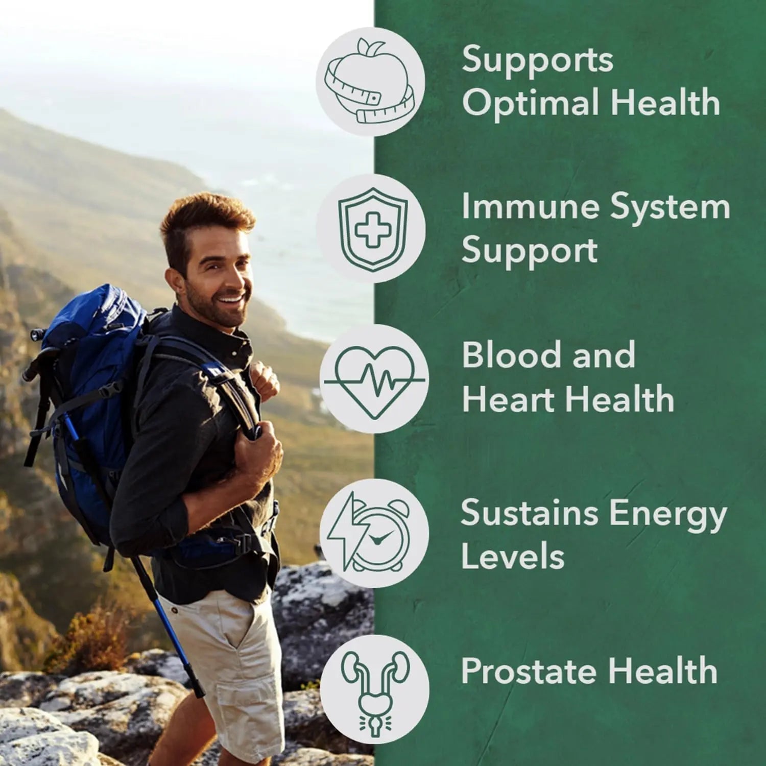 PlantFusion Organic Multivitamin for Men - One Daily Whole Food Blend Men's Multivitamin - Vegan, Non-GMO PlantFusion uk supplements