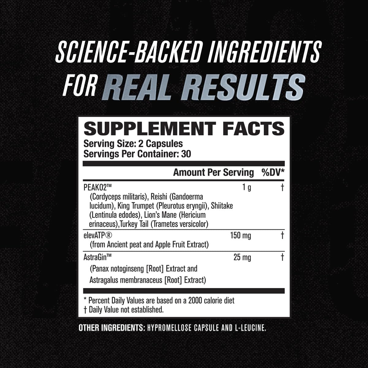 Jacked Factory Muscle Builder Supplement Stack - Build-XT Muscle Builder & N.O. XT Nitric Jacked Factory uk supplements