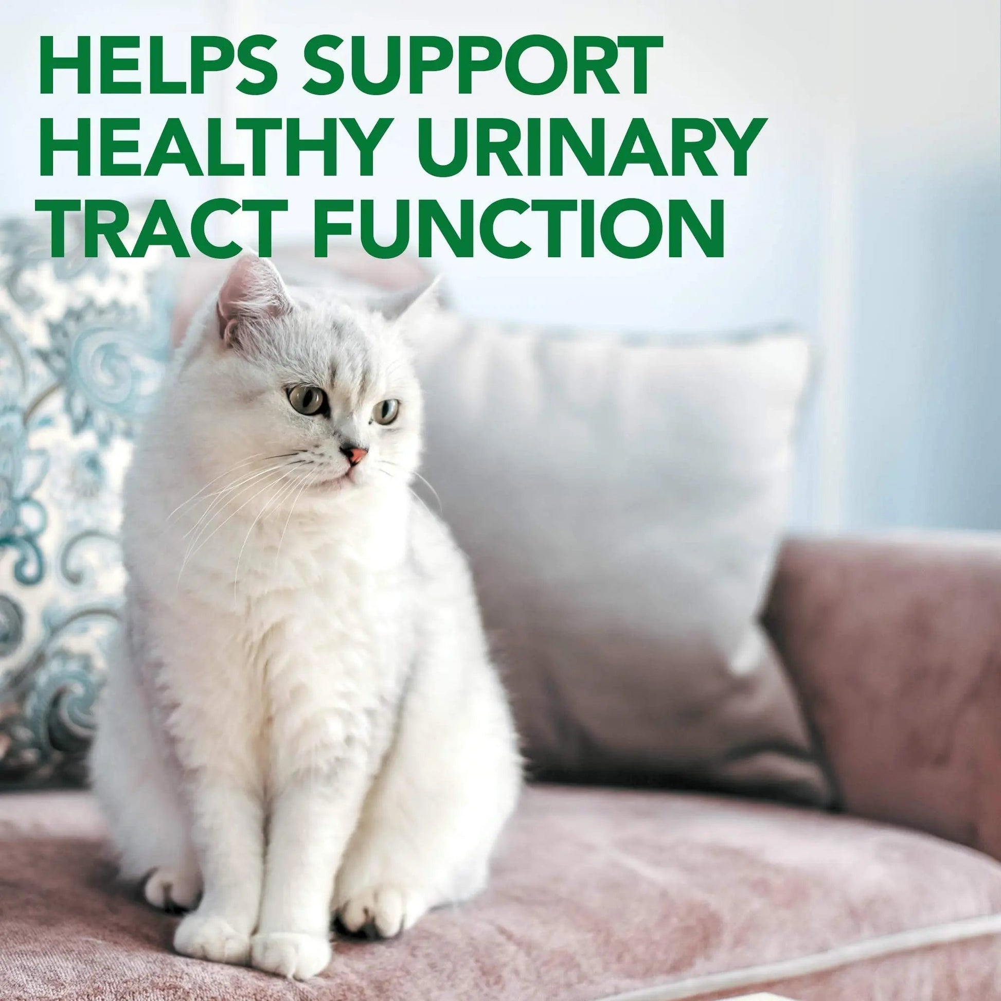 Vet's Best Cat Urinary Supplement, Urinary Tract Support Chewable for Cats, Supports A Healthy Urinary Tract in Cats, 60 Chewable Tablets Vet's Best uk supplements