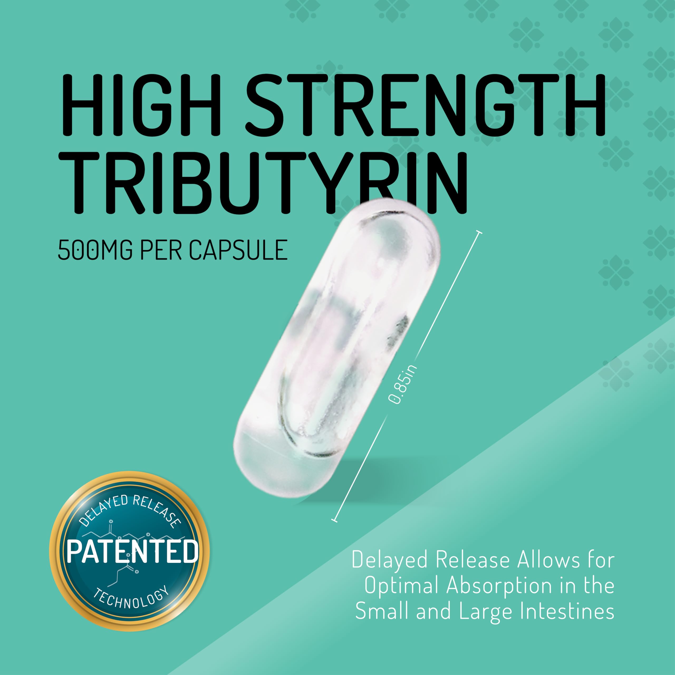 Healus Complete Biotic - Postbiotic Tributyrin Supplement - Postbiotics for Gut Health - Butyrate Gut Health Supplement Healus uk supplements