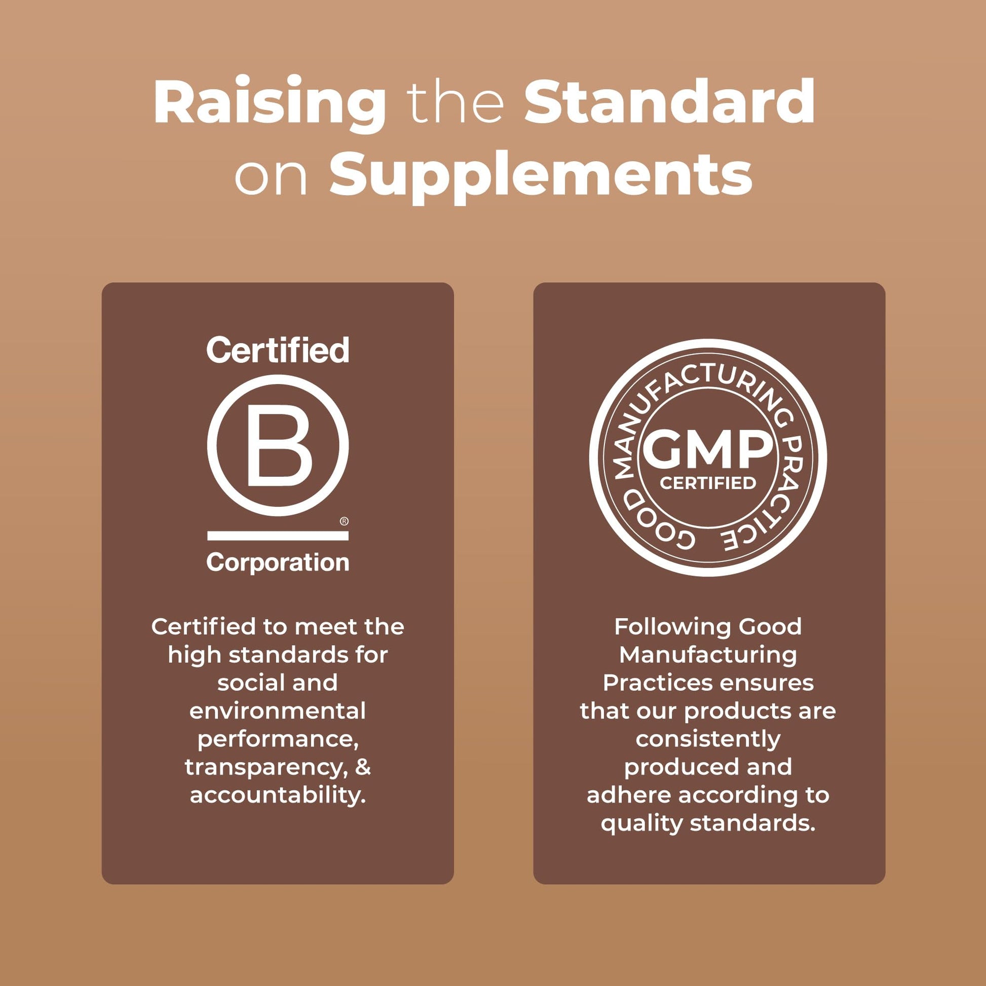 MaryRuth's Mushroom Complex | Lion's Mane | Turkey Tail | Reishi Mushroom | Shiitake Mushrooms | Alcohol Free | Mushroom Blend | Organic | Non-GMO | Vegan | 30 Servings MARYRUTH'S uk supplements