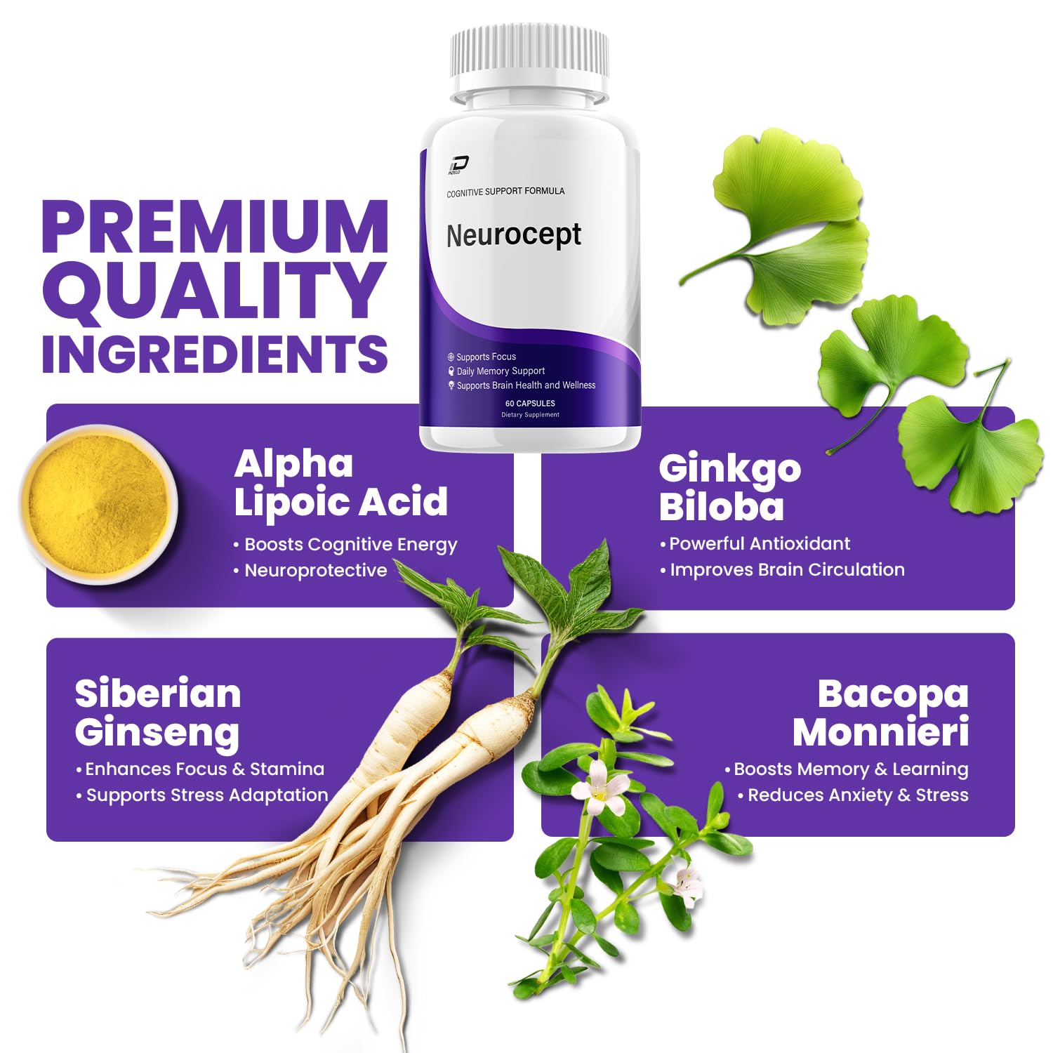 Neurocept Supplement Capsules – All Natural Maximum Strength Formula, Focus & Memory Support (2 Pack – 120 Capsules) Indelo uk supplements