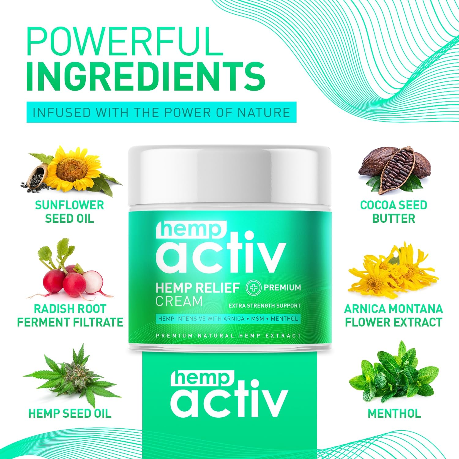 HEMPACTIV Cooling Hemp Cream – Menthol, MSM & Arnica – Fast-Absorbing, Non-Greasy Formula for Muscles & Joints – 4oz Best-Value Size HEMPACTIV uk supplements