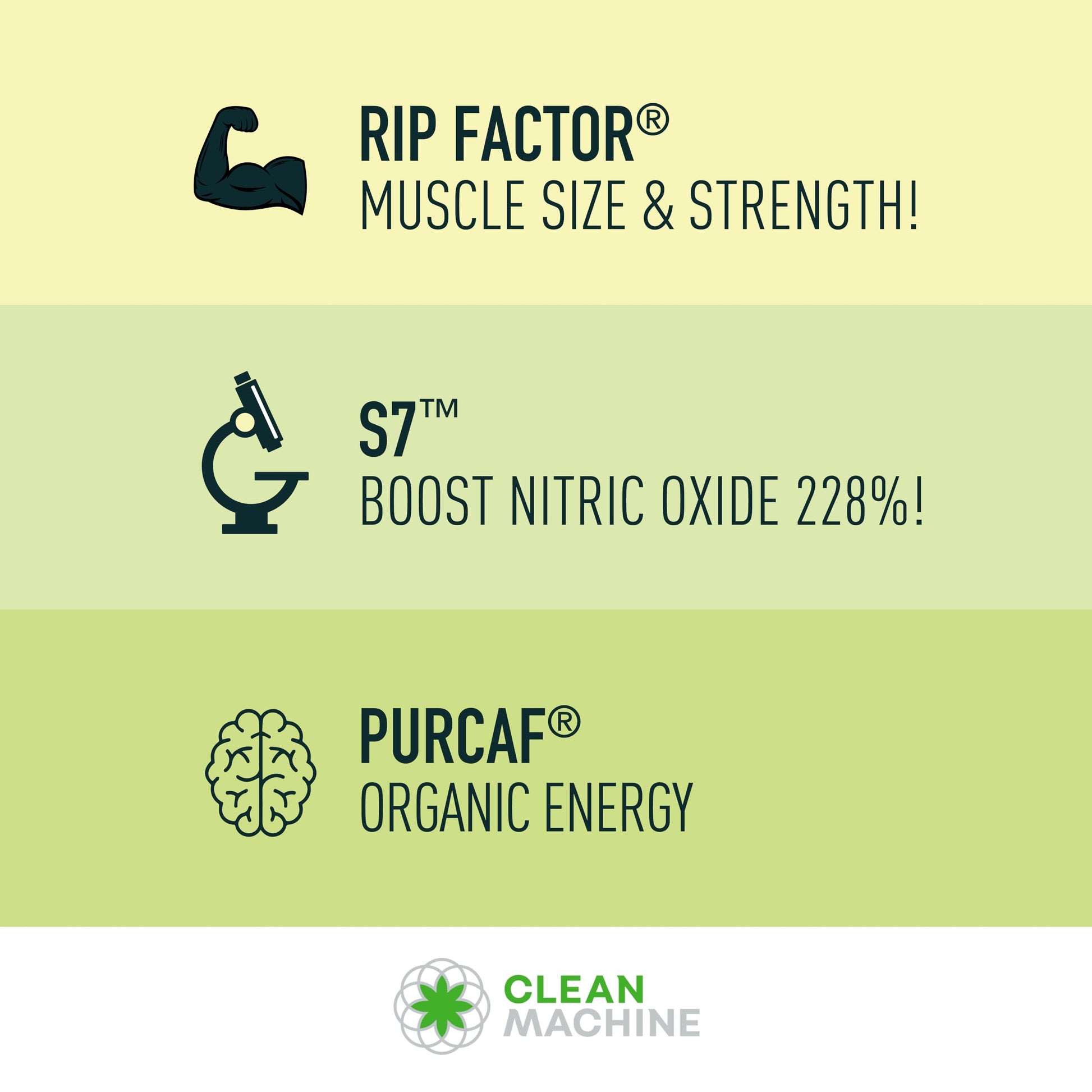 CLEAN MACHINE N10s - Plant Based Vegan Preworkout Powder - 3 Clinically Tested CLEAN MACHINE uk supplements
