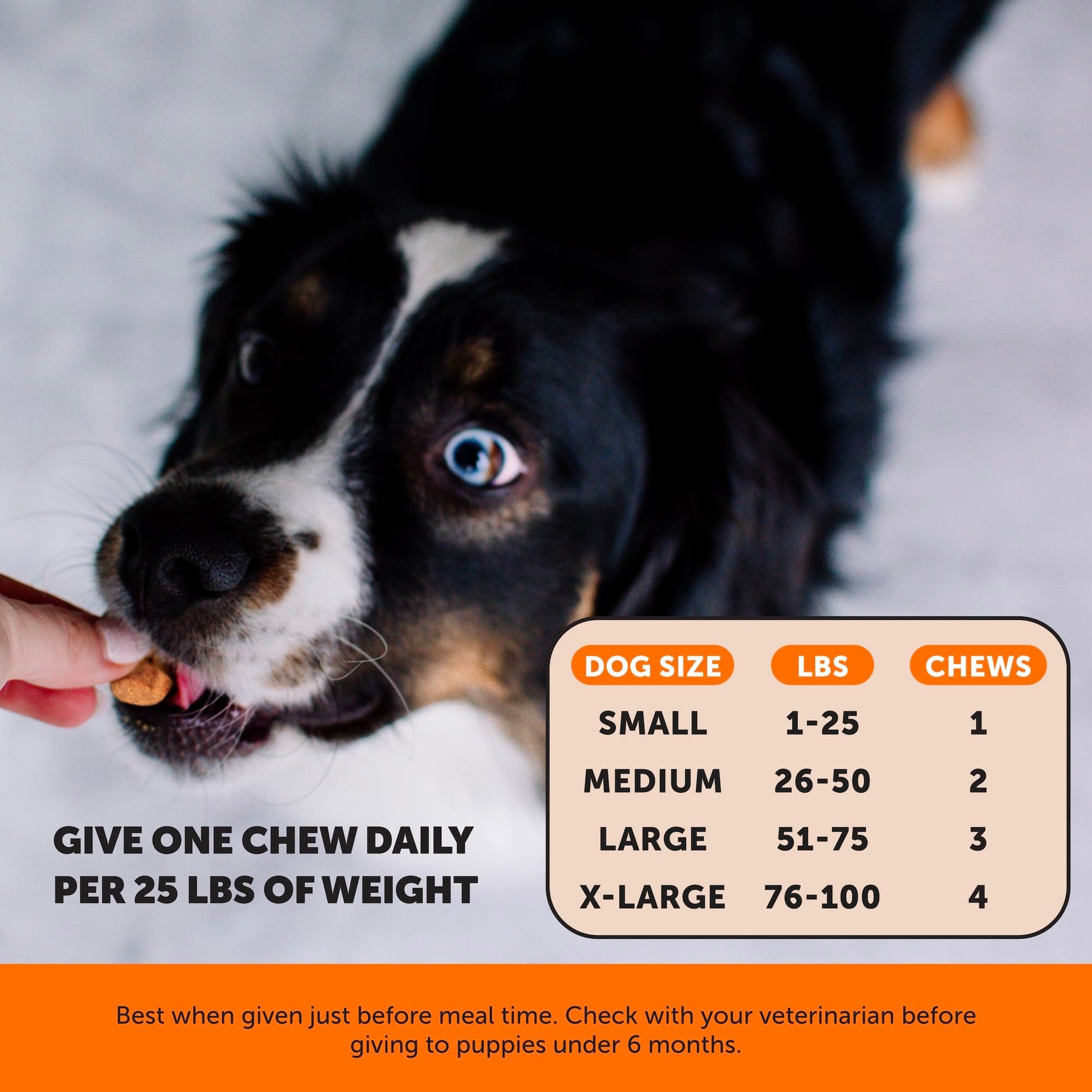 Hemp Hip & Joint Supplement for Dogs - Hemp Oil & Powder - Glucosamine Chondroitin for Dogs, Turmeric, MSM, Green-Lipped Mussel, Supports Mobility, May Reduce Discomfort (Bacon) Pet Honesty uk supplements