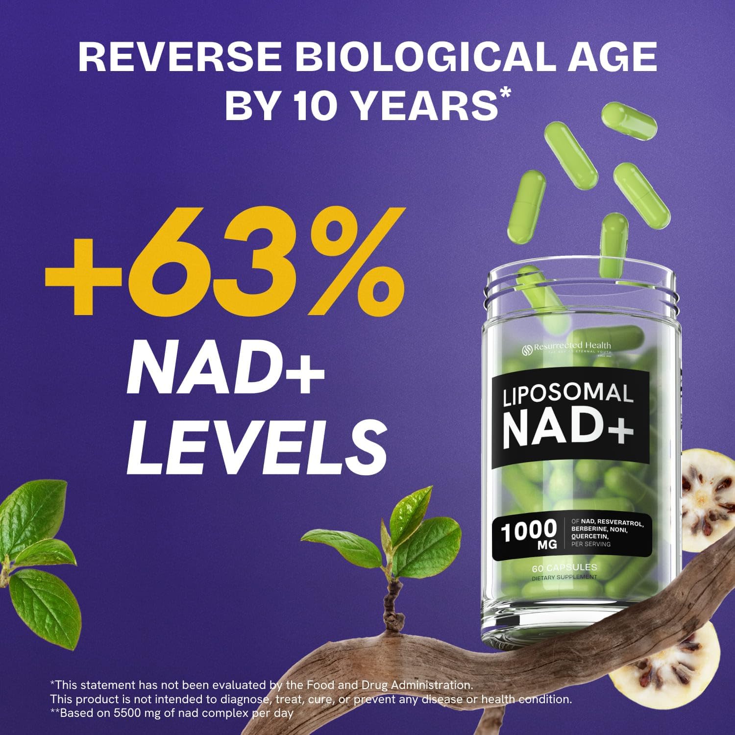 Liposomal NAD Supplement for Women w/Noni | 5-in-1 NAD Resveratrol Supplement w/Berberine & Quercetin | Pure NMN Powder Alternative | Supports Anti Aging & NAD+ Levels | 60 caps - 1 Pack Resurrected Health uk supplements