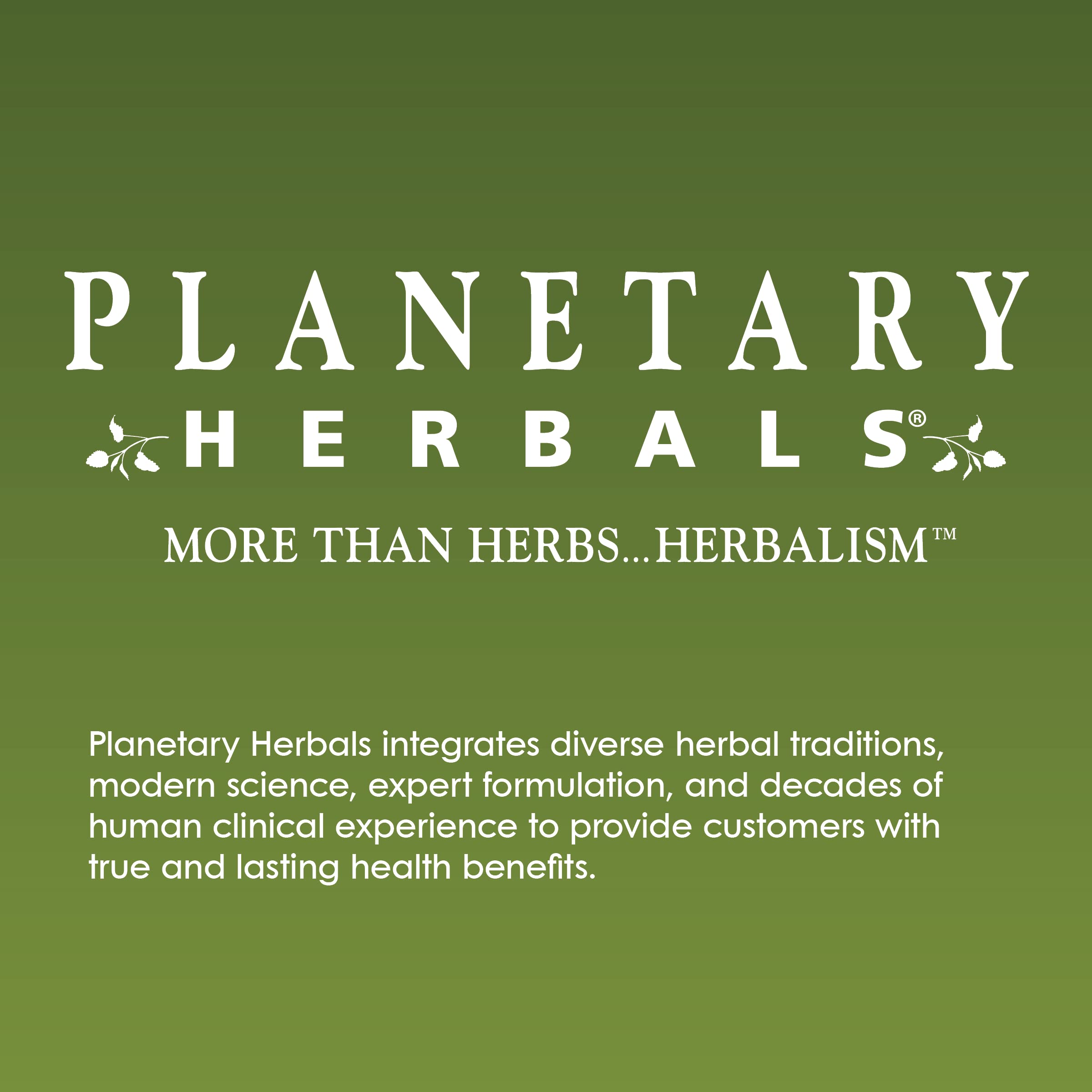 Planetary Herbals PAU D'Arco Deep Cleansing, Herbal Supplement, 735 mg - 72 Tablets Planetary Herbals uk supplements
