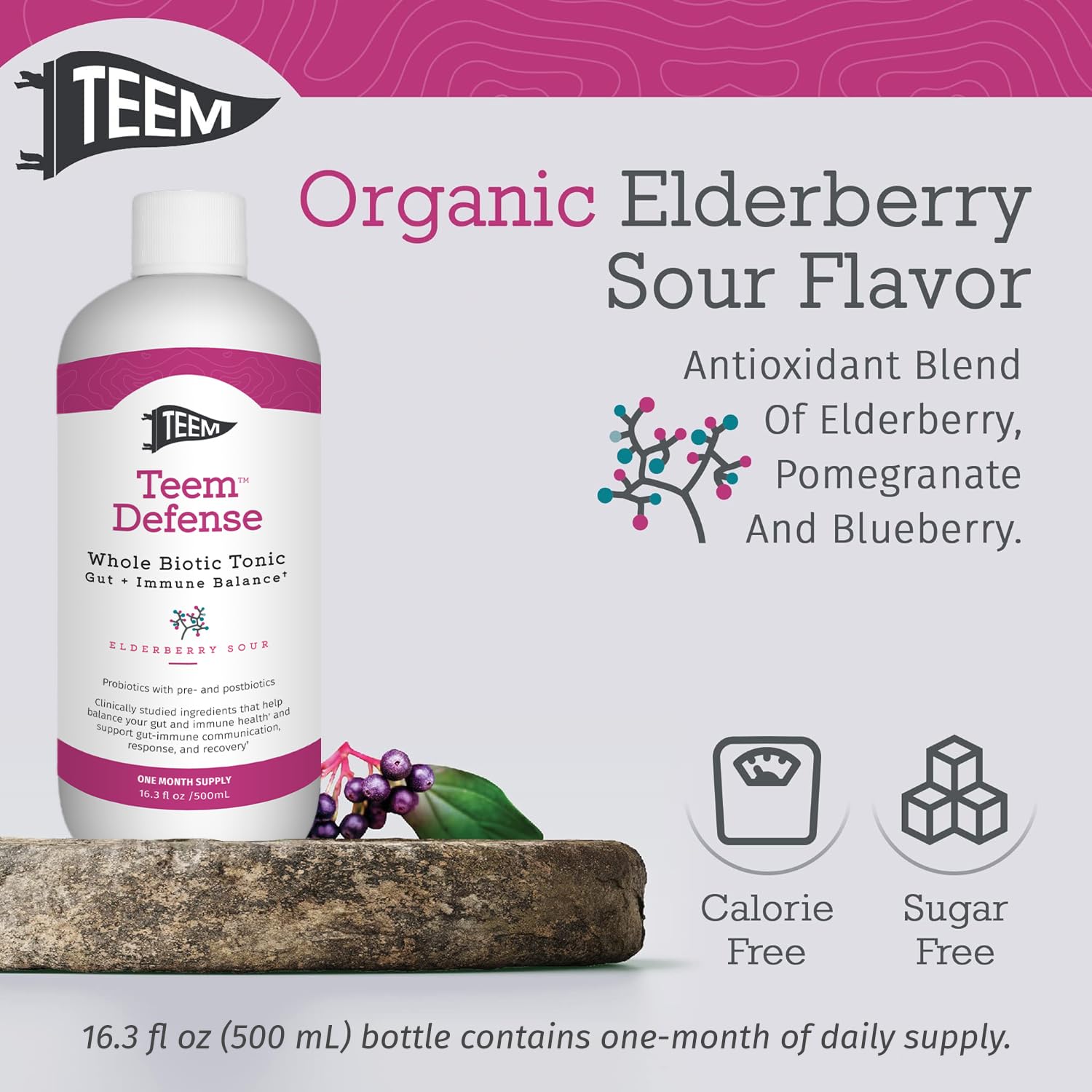 Teem Defense Liquid Probiotic with Elderberry, Whole Biotic Tonic for Digestion & Immunity, Prebiotic Probiotic & Postbiotic Supplement for Kids and Adults, 30 Day Supply – 16.3 Fl.Oz Teem uk supplements