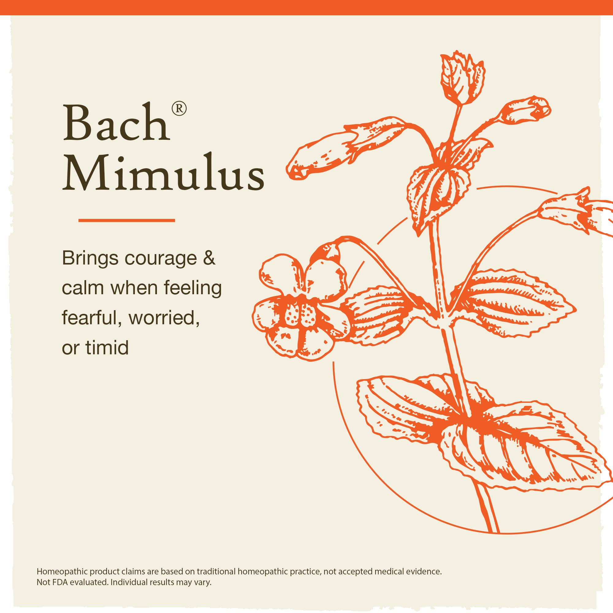Bach Original Flower Remedies, Mimulus for Facing Fears (Non-Alcohol Formula), Natural Homeopathic Bach uk supplements