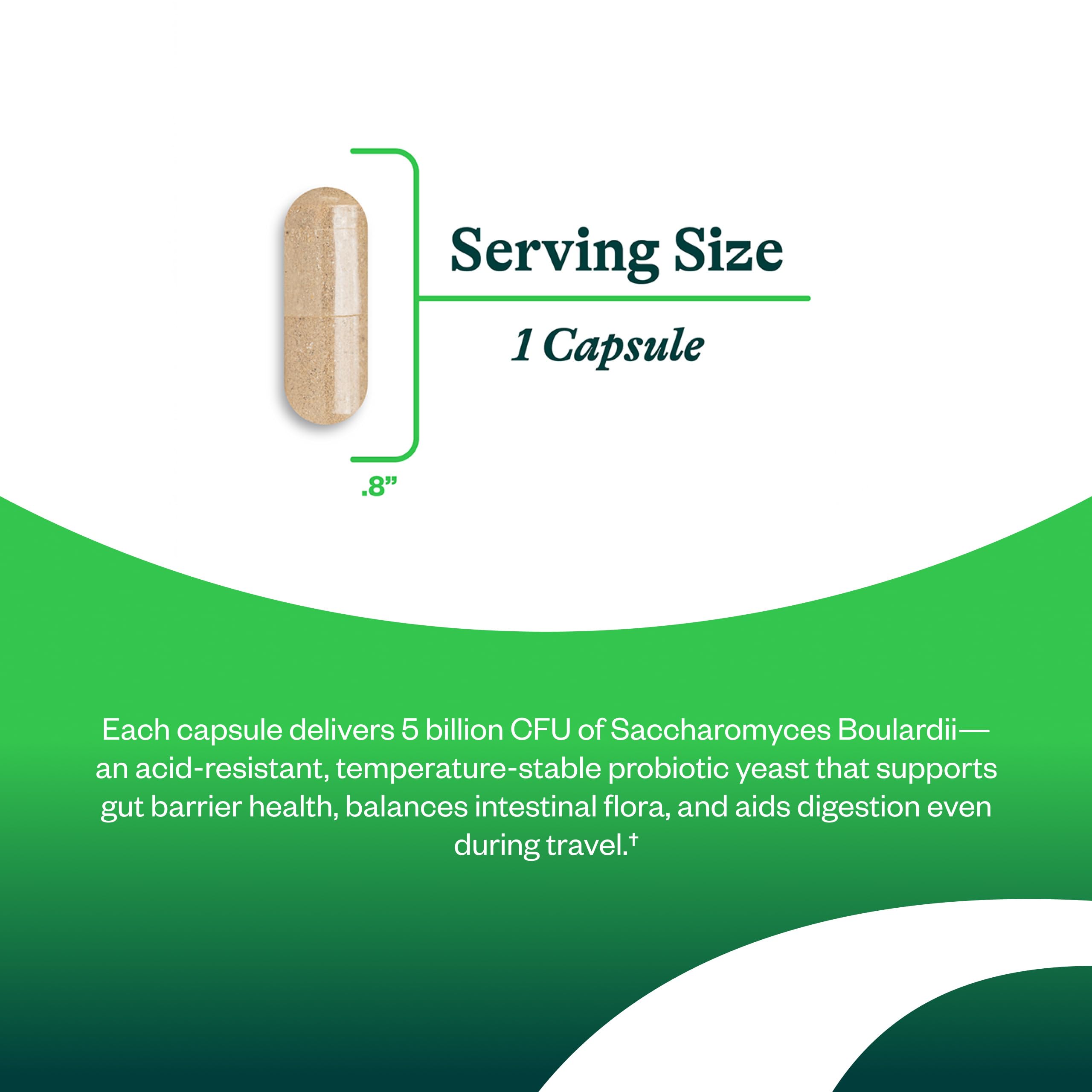 Seeking Health Saccharomyces Boulardii - Gentle Digestive Support for Healthy Bowel Movements* - Supports a Good GI Tract Environment & Microbiome While Traveling* Seeking Health uk supplements