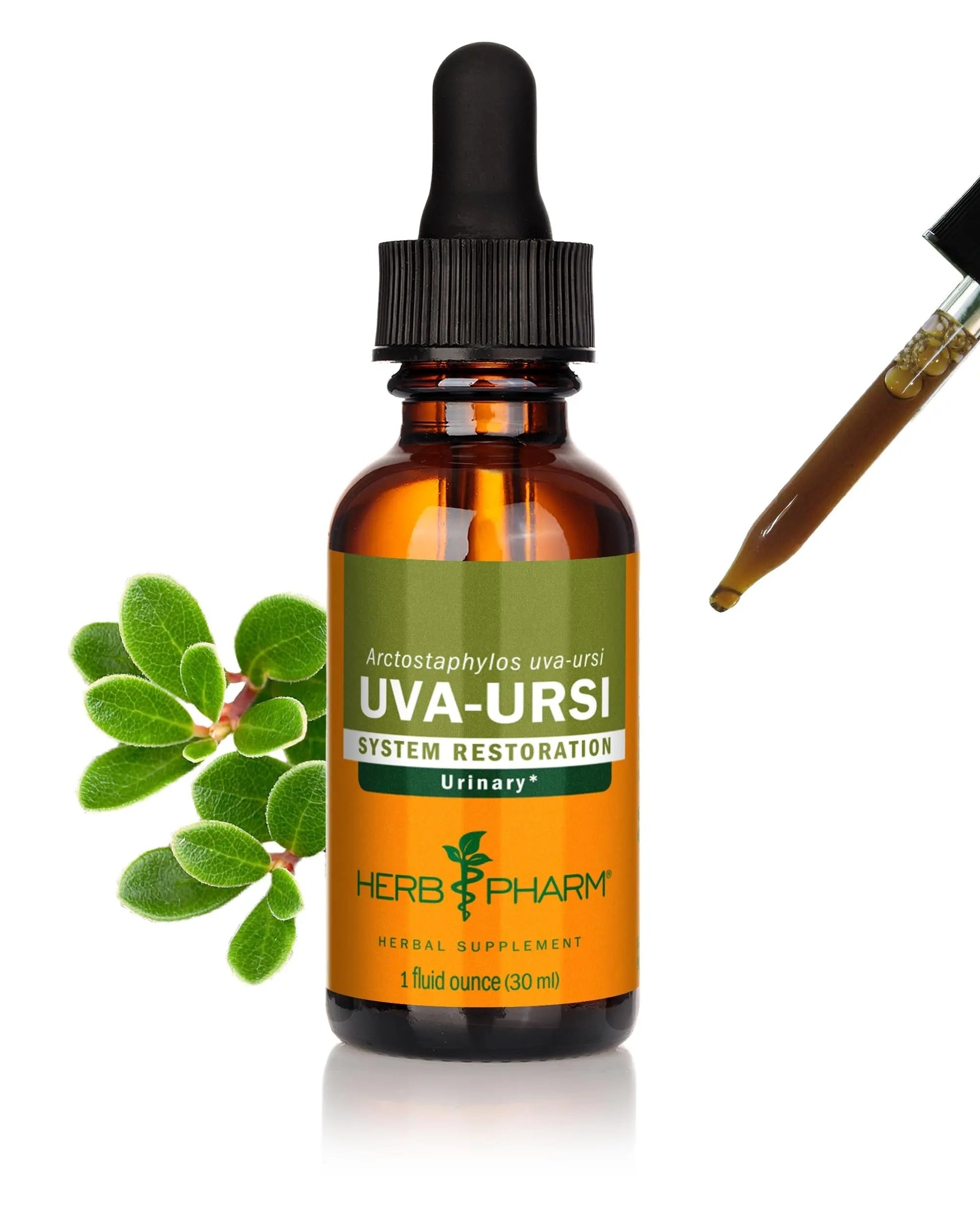 Herb Pharm Uva Ursi Liquid ExtraCount for Urinary System Support, 1 Fl Oz Herb Pharm uk supplements