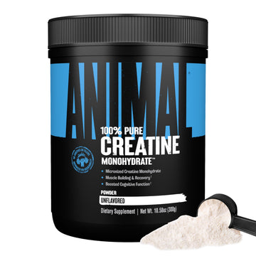 Animal Creatine Monohydrate Powder – Micronized Creatine for Women and Men, Supports Muscle Growth, Strength, Endurance, Recovery and ATP Production, Gym & Workout Supplements - Unflavored, 300g Animal uk supplements