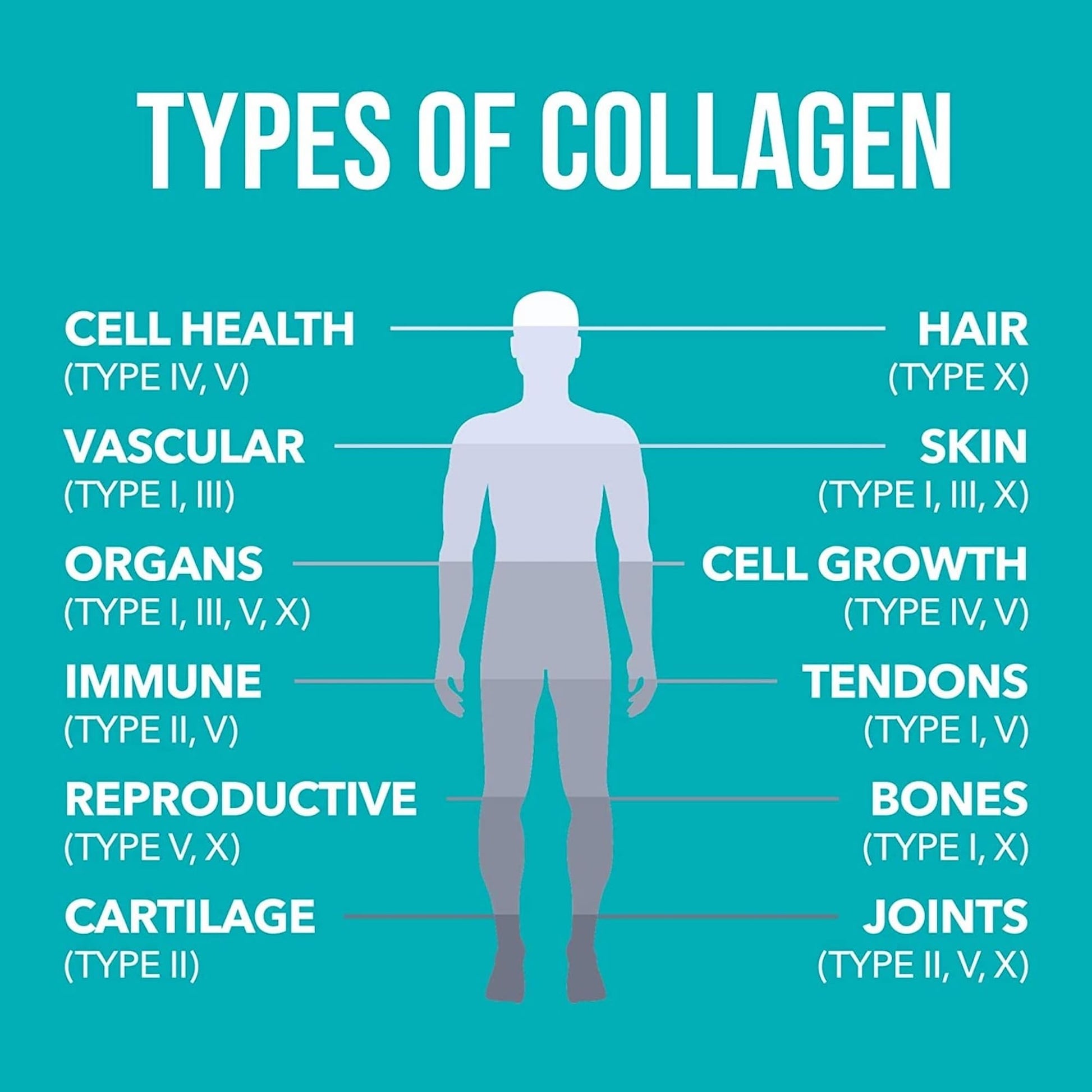 NaturesPlus Collagen Peptides Powder - Premium Hydrolysed Collagen Supplement, 6 Major Types Nature's Plus uk supplements