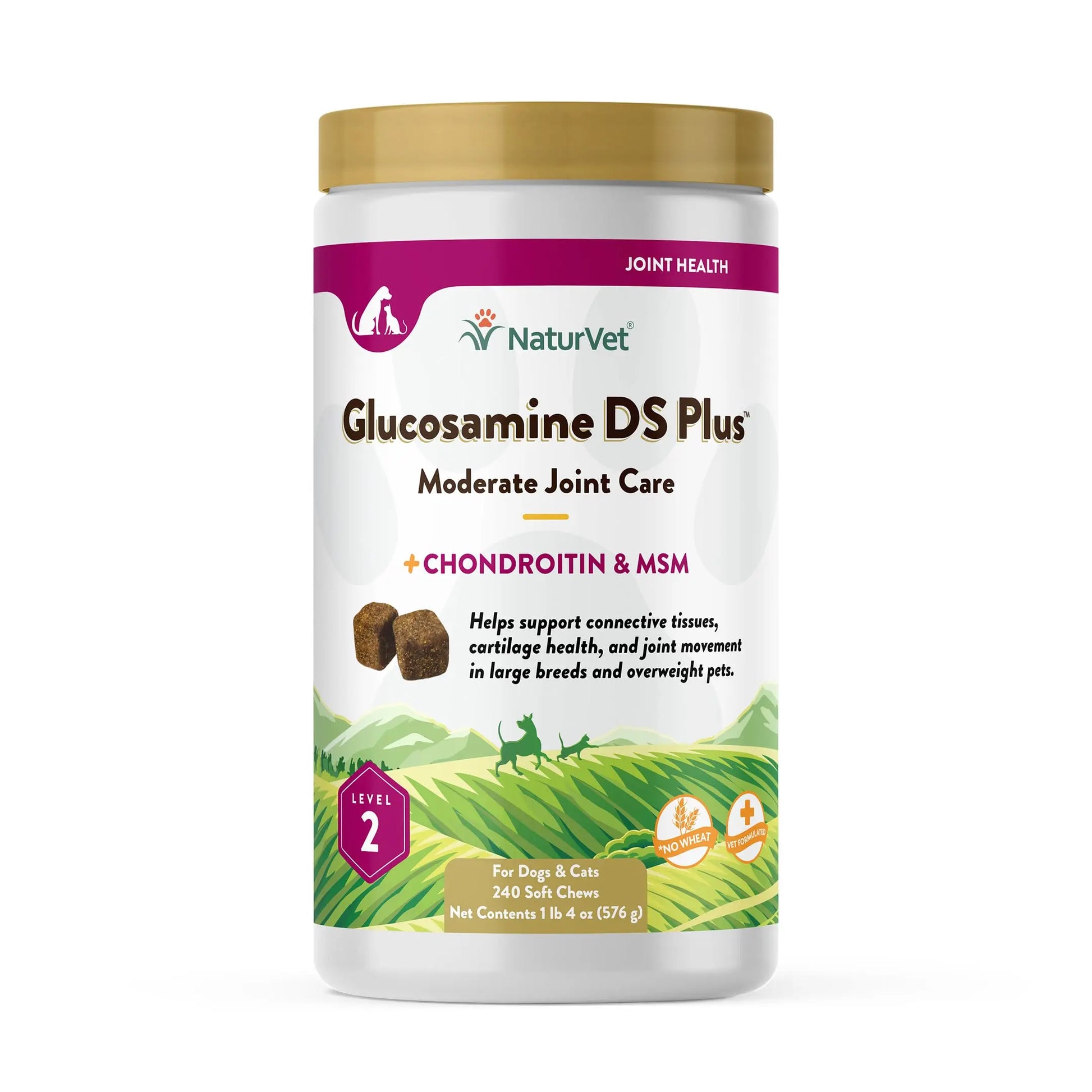 NaturVet – Glucosamine DS Plus - Level 2 Moderate Care – Supports Healthy Hip & Joint Function – Enhanced with Glucosamine, MSM & Chondroitin – for Dogs & Cats – 240 Soft Chews NaturVet uk supplements