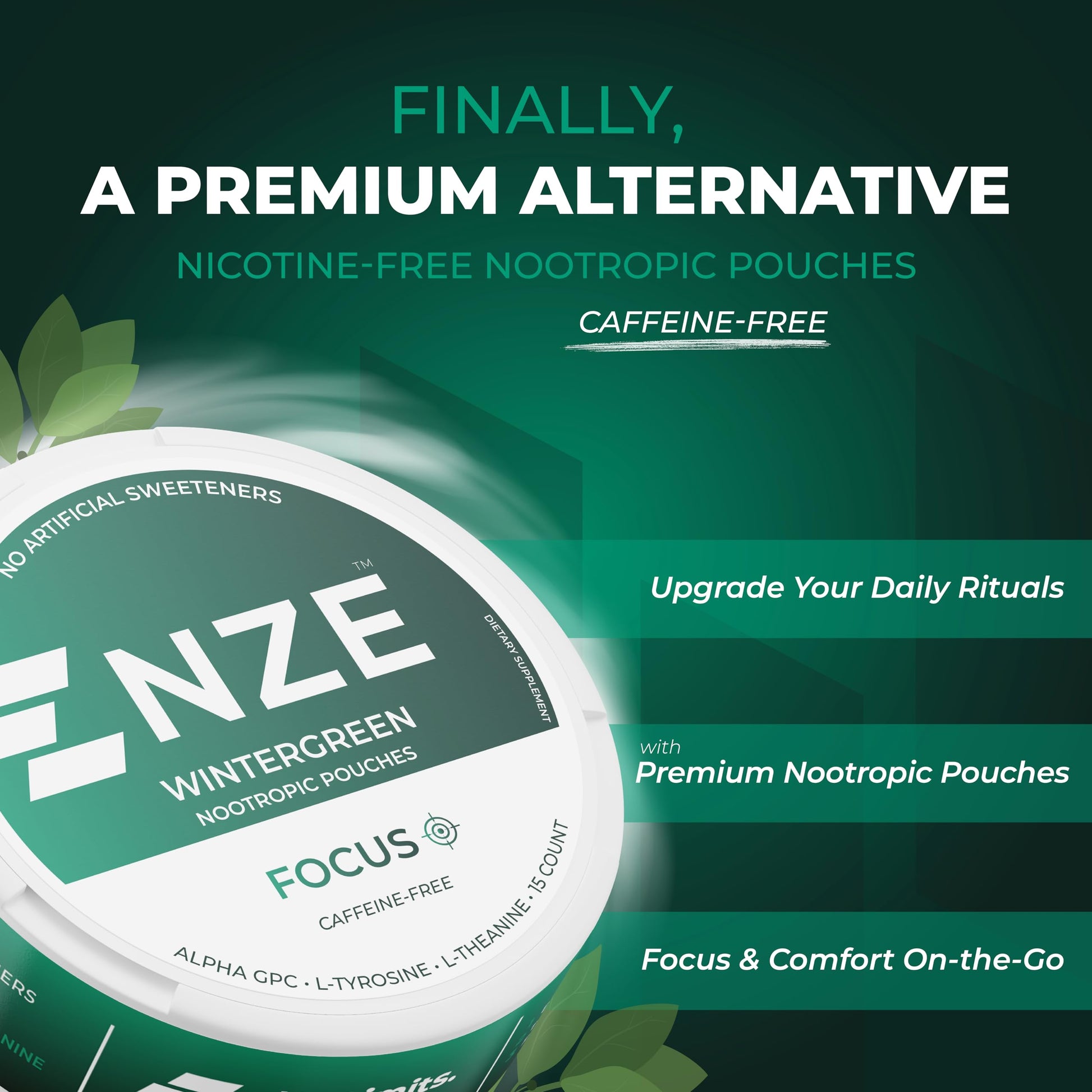 NZE Caffeine Free Nootropic Pouches (Wintergreen) - Nootropic Pouches with Alpha GPC, L-Tyrosine & L-Theanine - No Sugar or Artificial Sweeteners - 15 Pouches Per Can - 5 Pack NZE uk supplements
