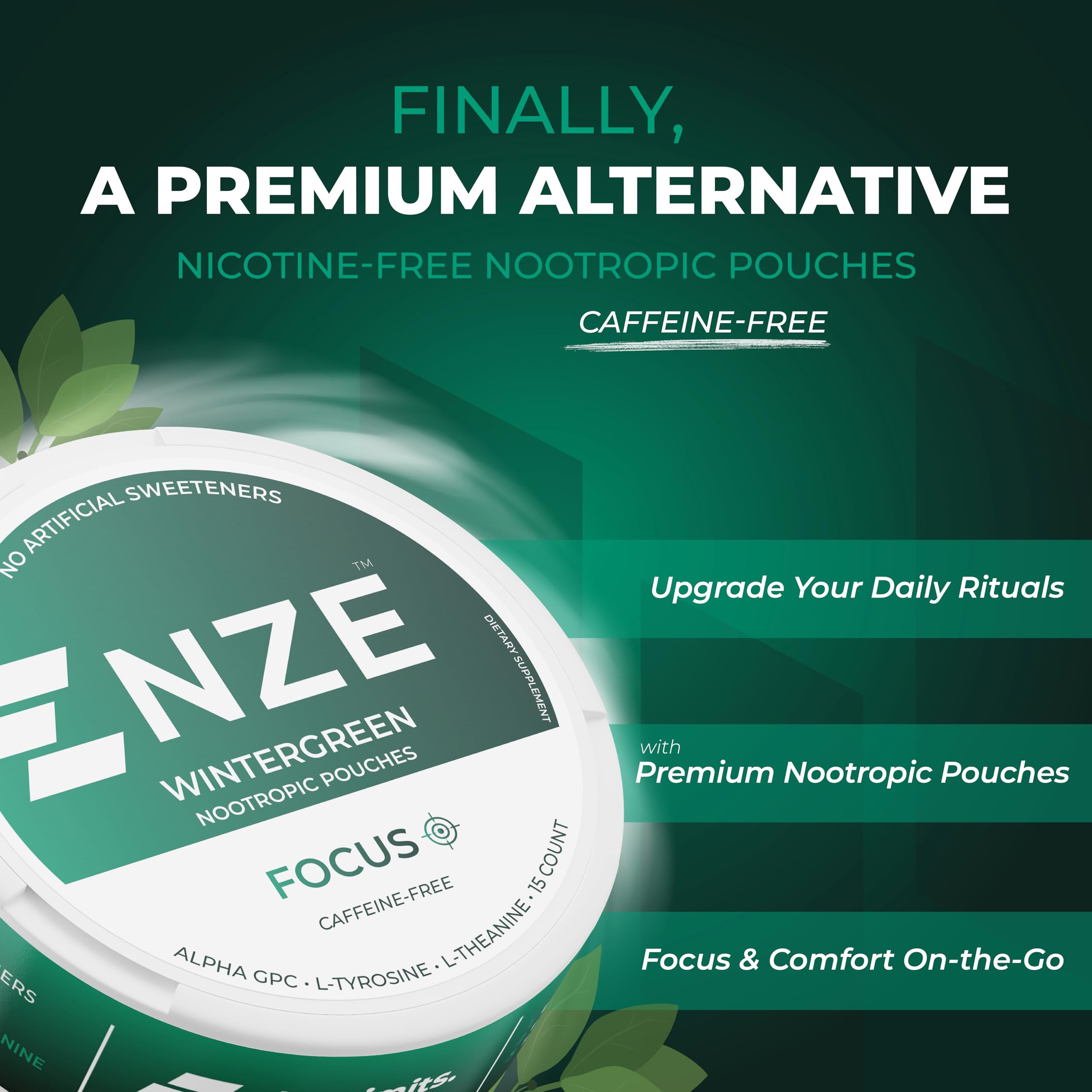 NZE Caffeine Free Nootropic Pouches (Wintergreen) - Nootropic Pouches with Alpha GPC, L-Tyrosine & L-Theanine - No Sugar or Artificial Sweeteners - 15 Pouches Per Can - 5 Pack NZE uk supplements