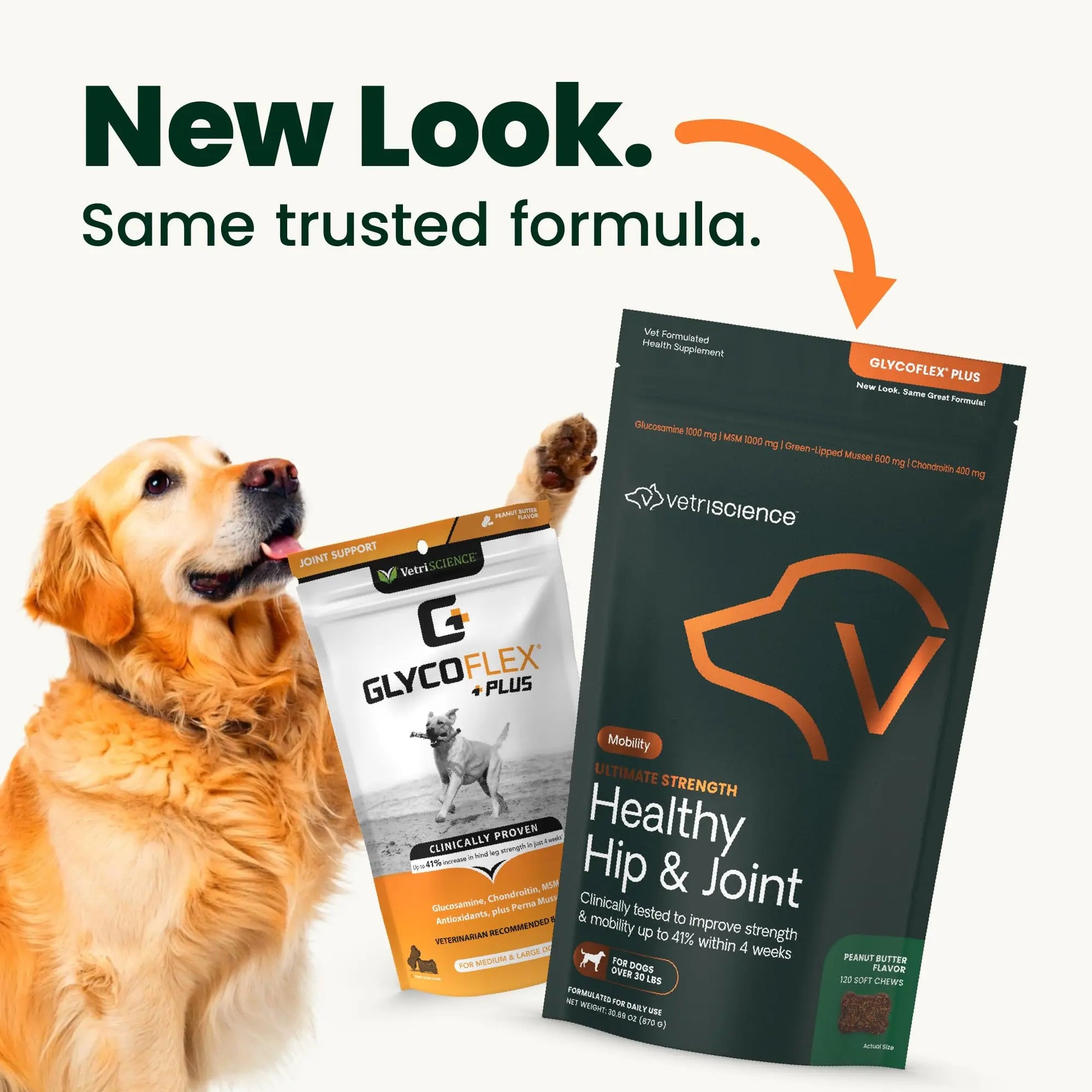 VetriScience Ultimate Strength Hip & Joint Supplement for Dogs, GlycoFlex Plus – MSM, Chondroitin & Green-Lipped Mussel Chews for Mobility, Flexibility, Comfort & Support, Peanut Butter Flavor 120 Cnt VETRISCIENCE uk supplements