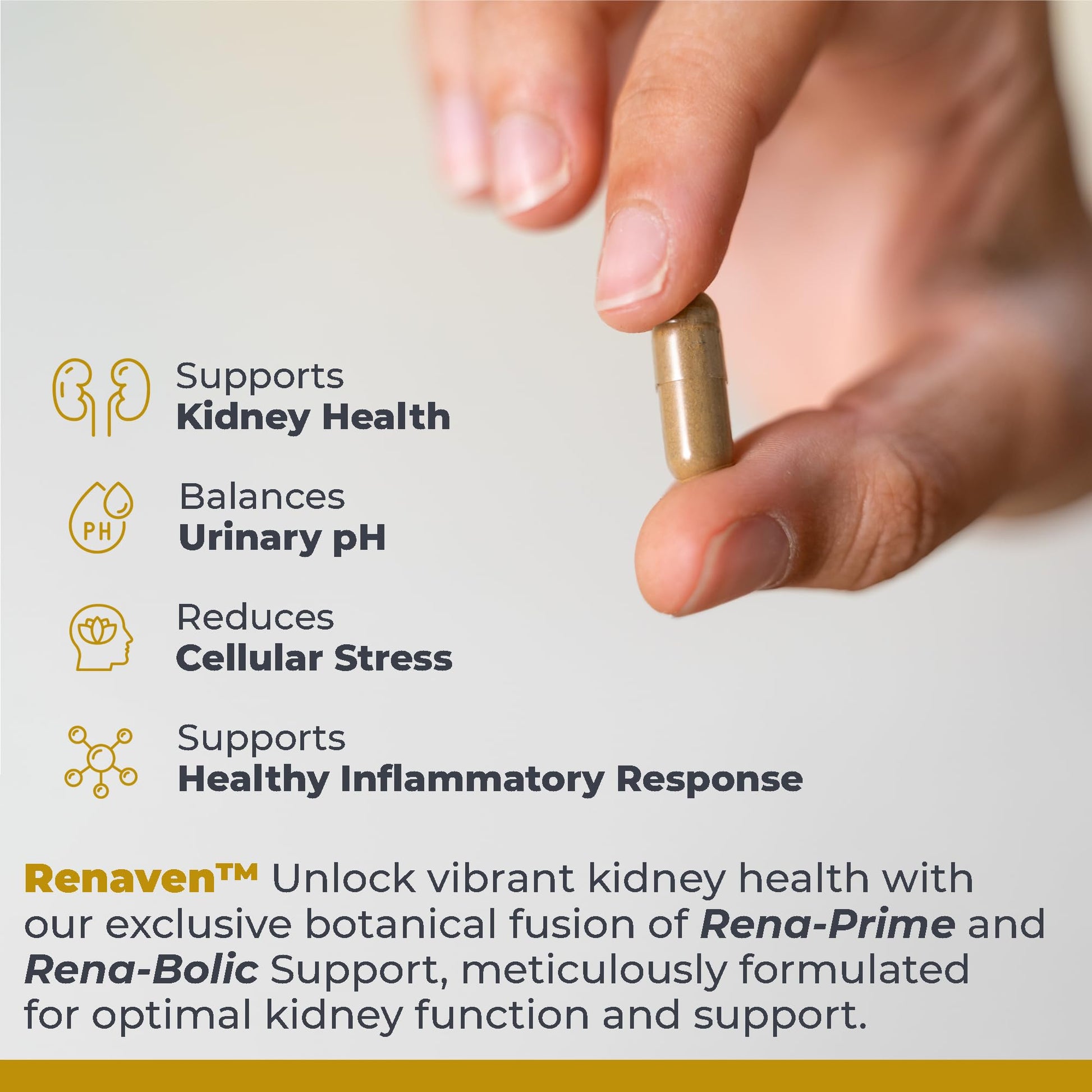 Premier Research Labs RenaVen - Premier Kidney Support for Kidney Cleanse Detox and Repair | Improve Kidney Function and Urinary Support with Fermented Cordyceps - 60 Plant-Source Capsules Premier Research Labs uk supplements