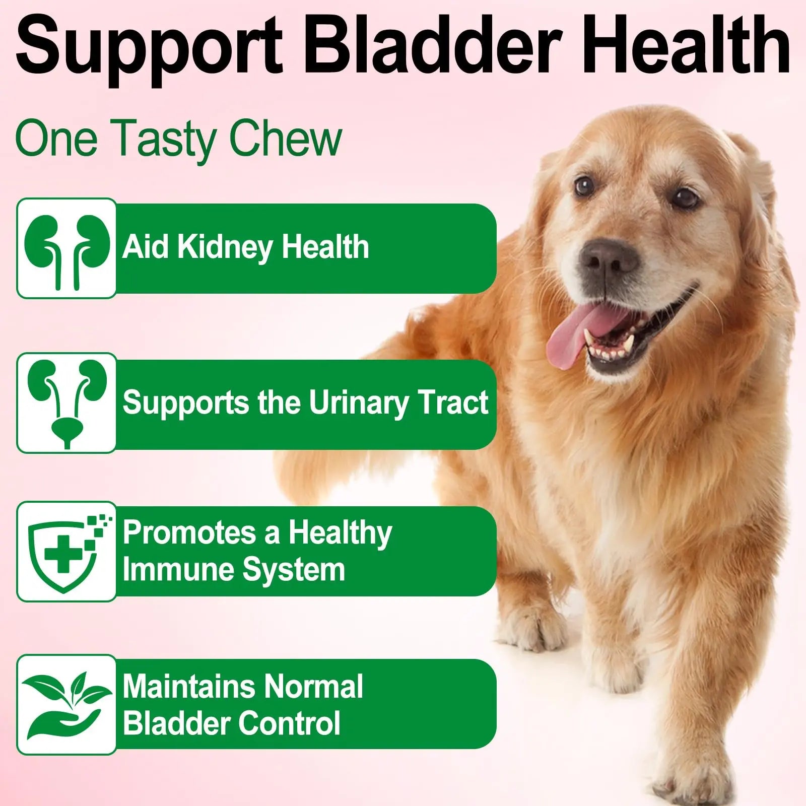 Dog UTI Treatment - Urinary Tract Infection Treatments, Kidney+Bladder Support Supplement, Natural Cranberry Extract for Dogs, Supports Urinary and Digestive Health (2 Fl Oz (Pack of 2)) Onznoz uk supplements