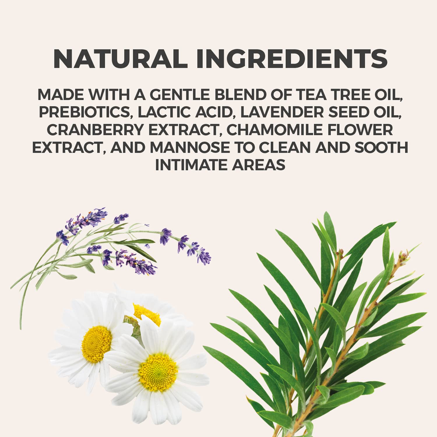 NewLife Naturals Daily Feminine Wash for pH Balance and Odor Control for Feminine Hygiene Intimate Wash NewLife Naturals uk supplements