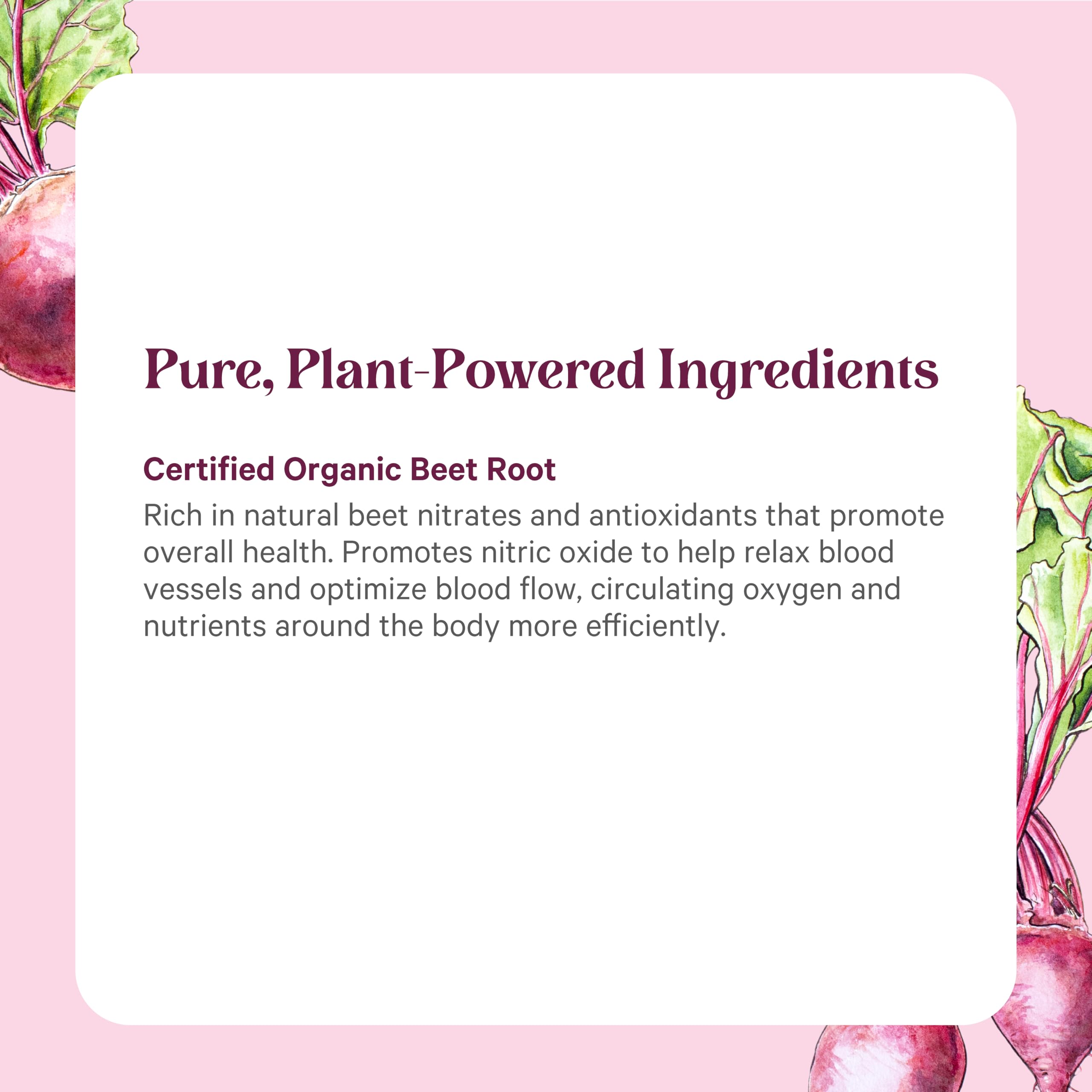 PURE SYNERGY Organic Beet Juice Powder | Pre-Workout Supplement | Organic Beet Root Juice Powder | for Healthy Circulation, Exercise, and Detoxification (6.4 oz.) PURE SYNERGY uk supplements