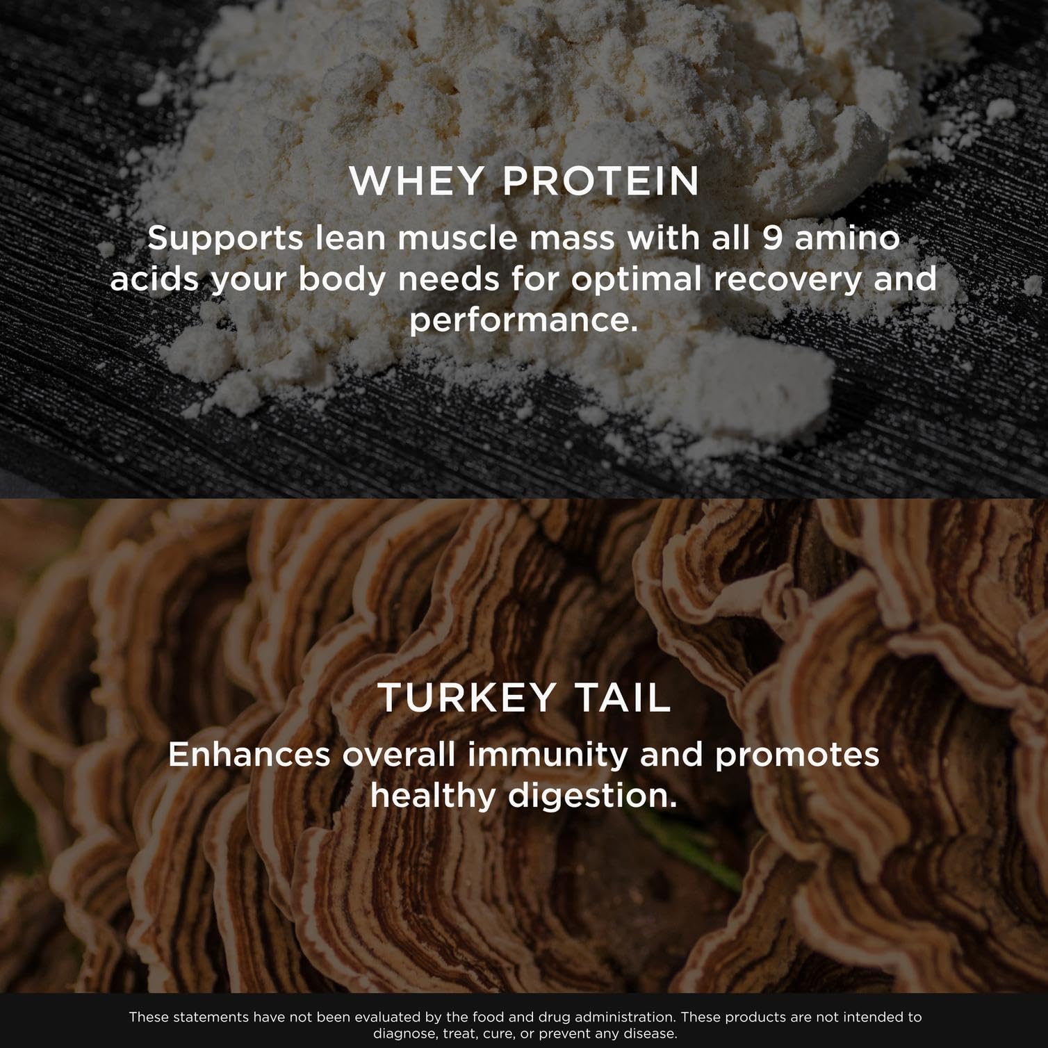 The Genius Brand Protein Powder - Chocolate + Adaptogenic Mushroom Blend - Plant-Based Protein with Reishi, Cordyceps & Lion’s Mane - Daily Muscle Recovery & Immune Support - 20 Servings The Genius Brand uk supplements