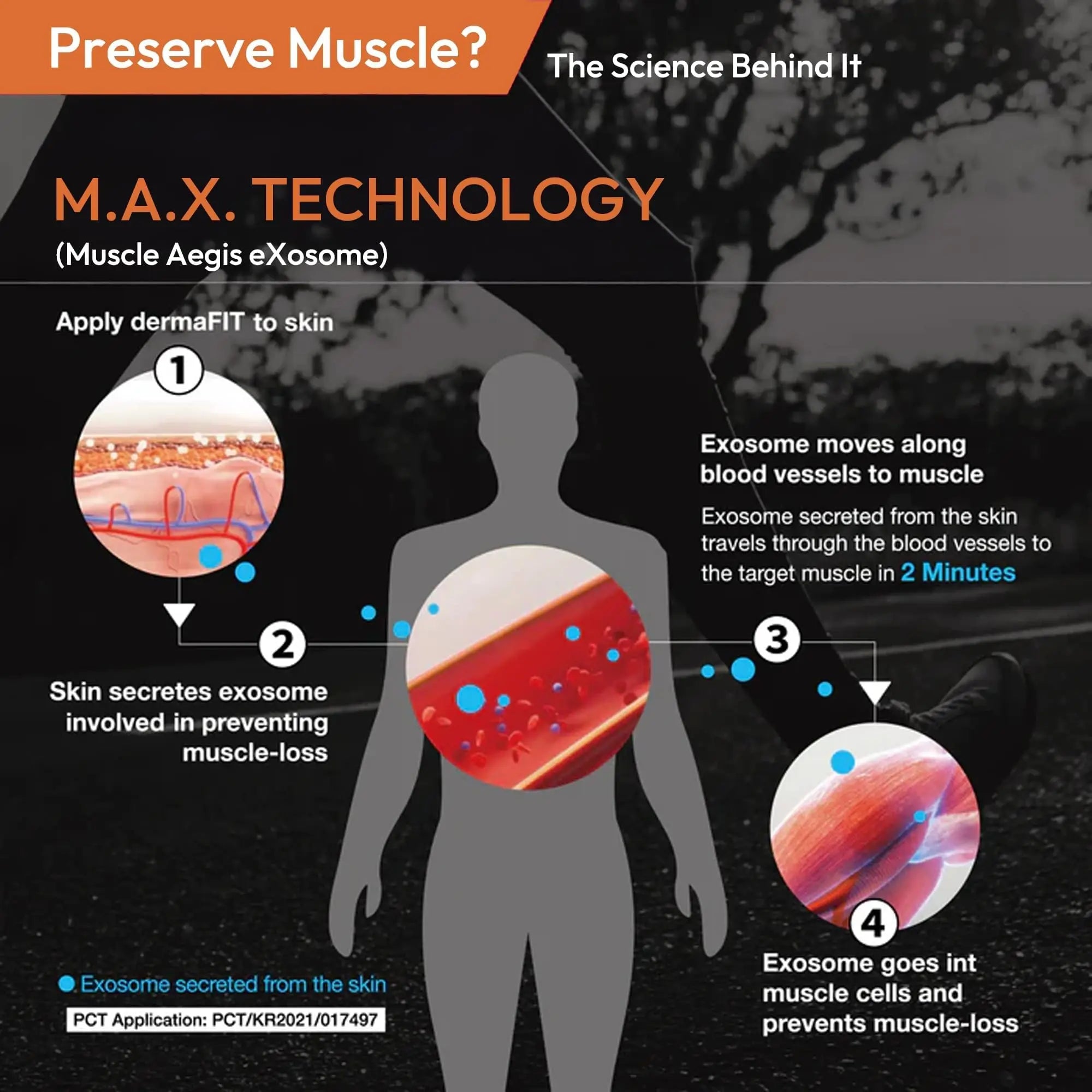dermaFIT Strength Muscle Maintenance Body Cream - Post Workout Prevents Muscle Loss for Men & Women, Muscle Retention Cream, 30ml, No Artificial Fragrance, M.A.X. Tech, Topical Analgesic for Muscle dermaFIT uk supplements
