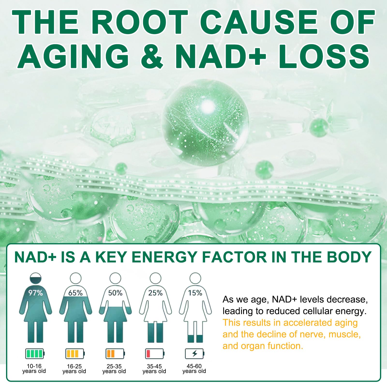 NAD Supplement 120 Capsules, Liposomal Nicotinamide Riboside, Resveratrol, Quercetin, NAD Nicotinamide Riboside Resveratrol 910mg for Women & Men, NAD Supplement for Anti Aging and Cell Regeneration KZUO uk supplements