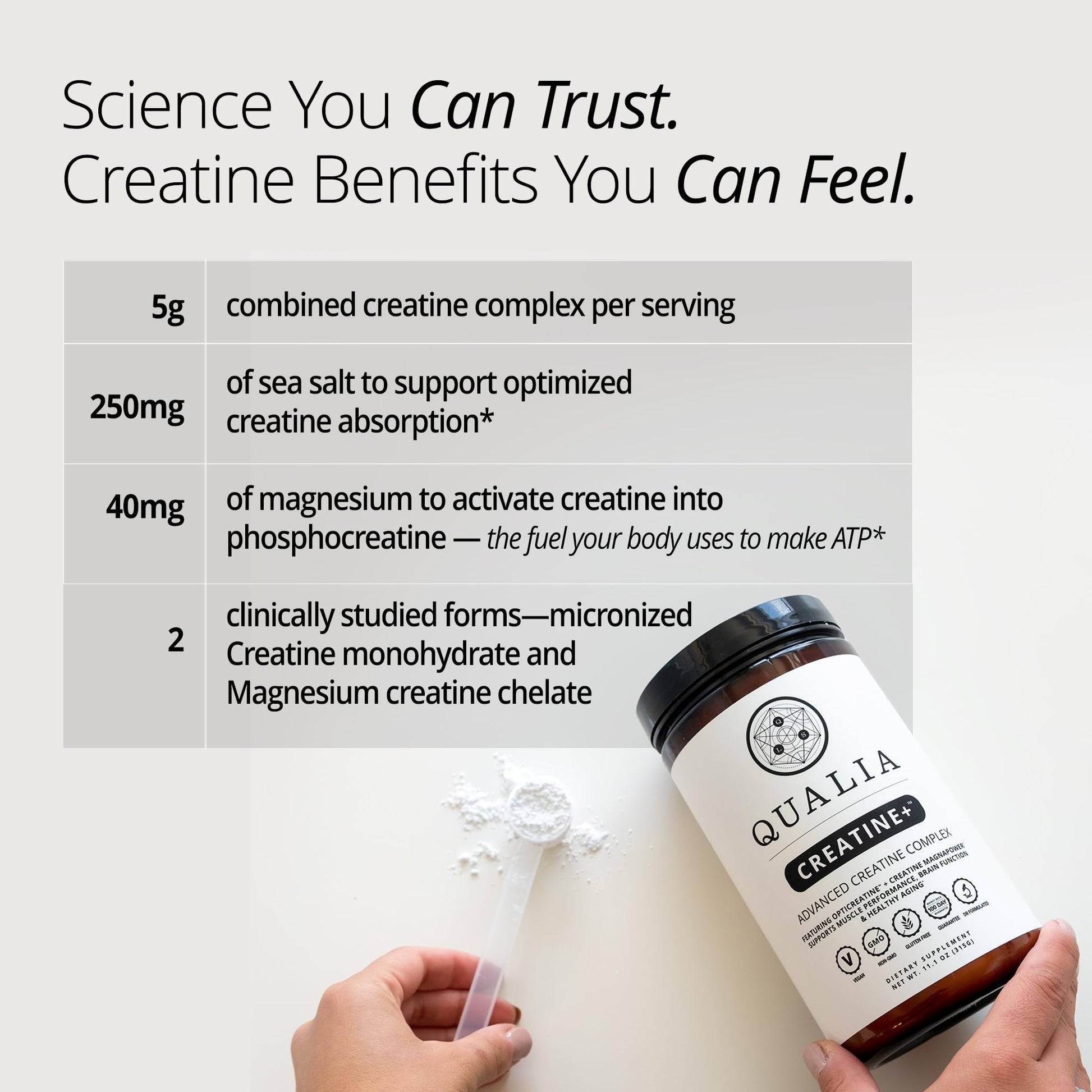 Qualia Creatine | Advanced Creatine Complex | 2 Sources + Magnesium | Optimized Absorption | Muscle Performance, Brain Function, & Healthy Aging QUALIA LIFE SCIENCES uk supplements