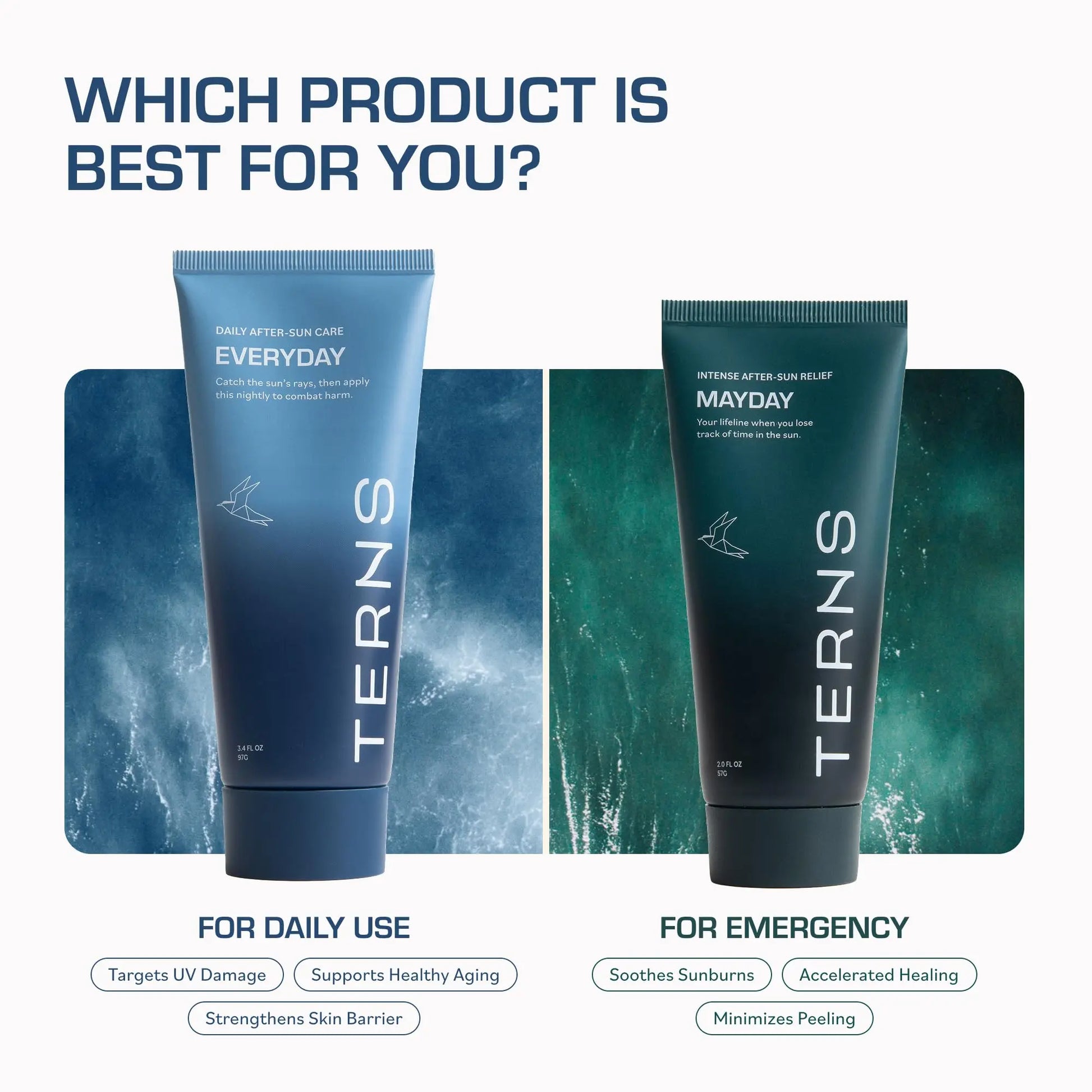 TERNS Everyday Advanced Moisturizer for Face & Body, Daily Skin Care Lotion for Men & Women, Marine Bioactive Skin Cream, Supports Firmness & Hydration, Travel Friendly, Natural Fragrance, 3.4 Oz TERNS uk supplements