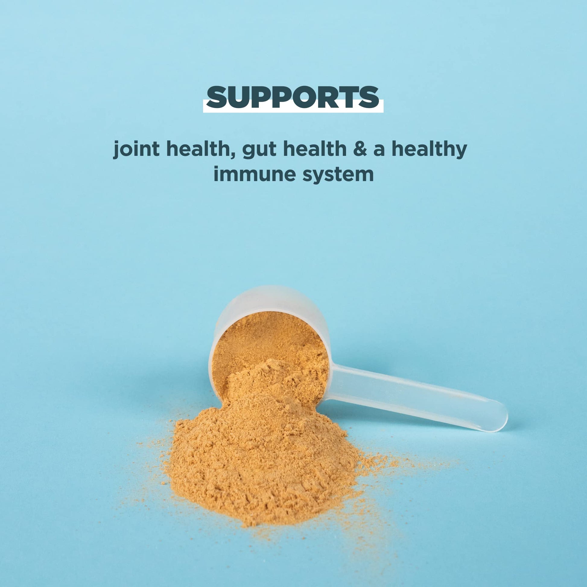 Ancient Nutrition Bone Broth Protein Powder, Salted Caramel, 19g Protein per Serving Ancient Nutrition uk supplements