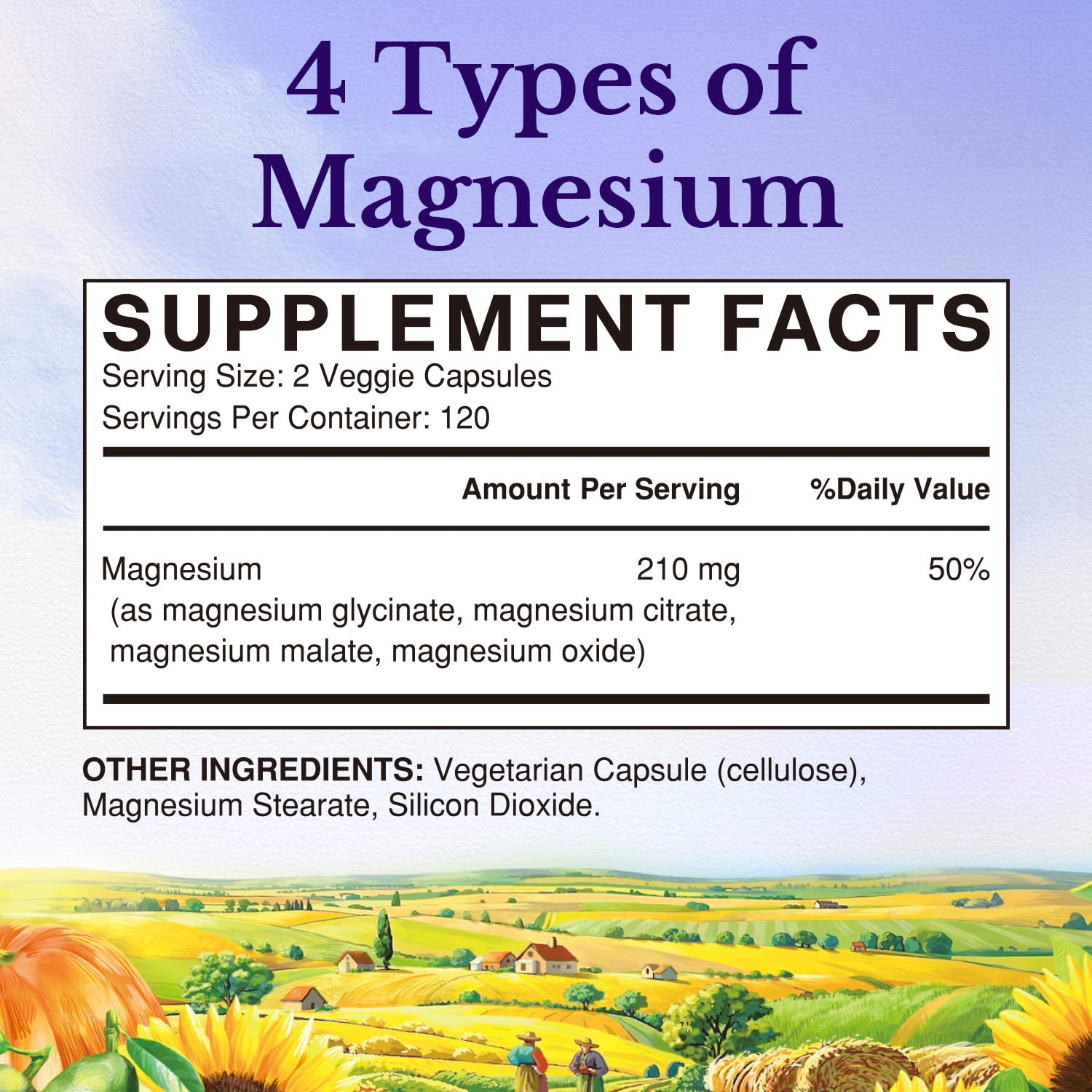 Vitalitown Magnesium Complex | Chelated Easily Absorbed Magnesium Glycinate Citrate Malate | Buffered | 210mg Elemental Mag | Sleep, Nerve, Digestion, Energy | Non-GMO 240 Veg Caps Vitalitown uk supplements