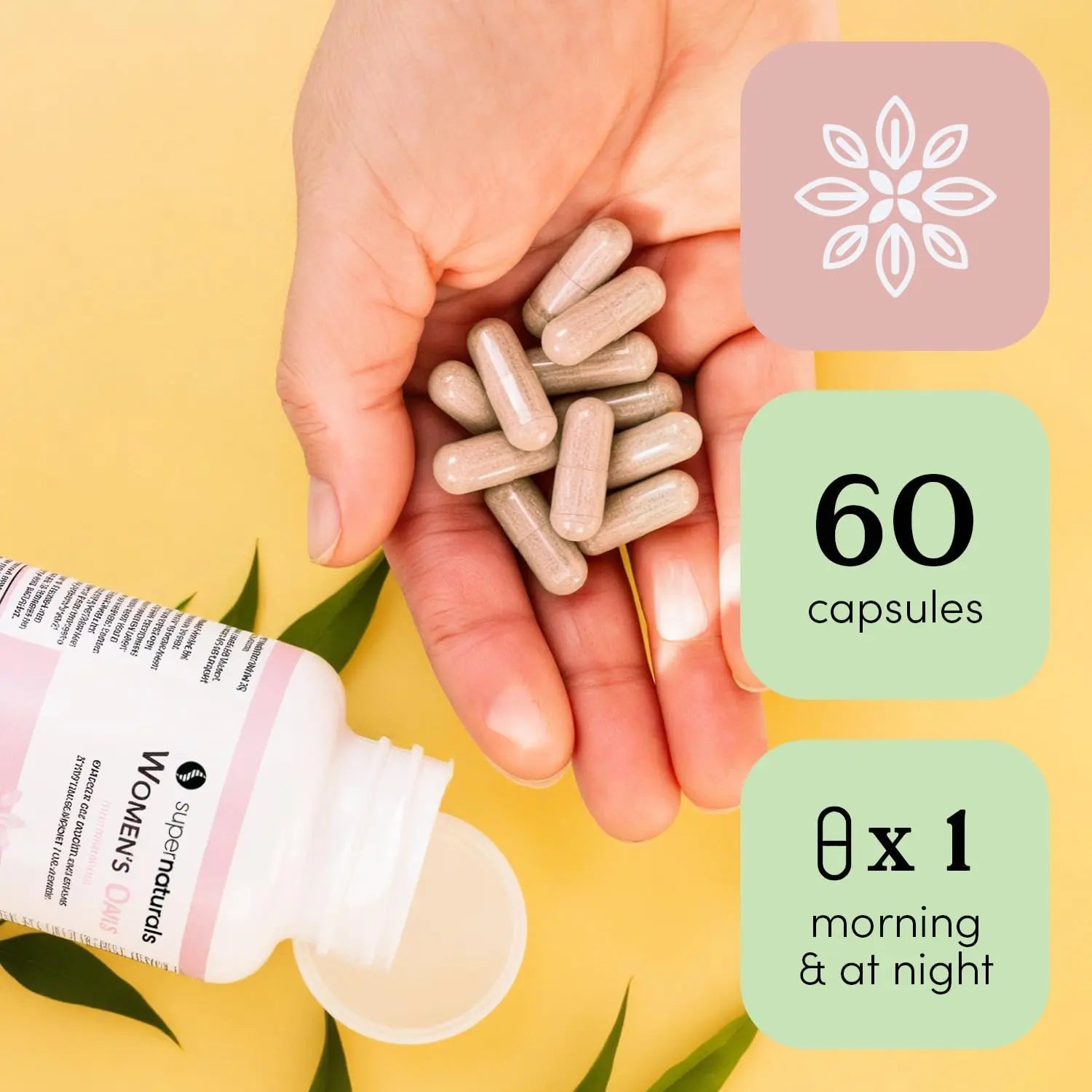 Super Naturals Health, Multivitamin for Women, Immune Defense Supplement Multivitamin Capsules, Vegan Supplements for Women - 60 Capsules JLM NUTRITIONALS uk supplements