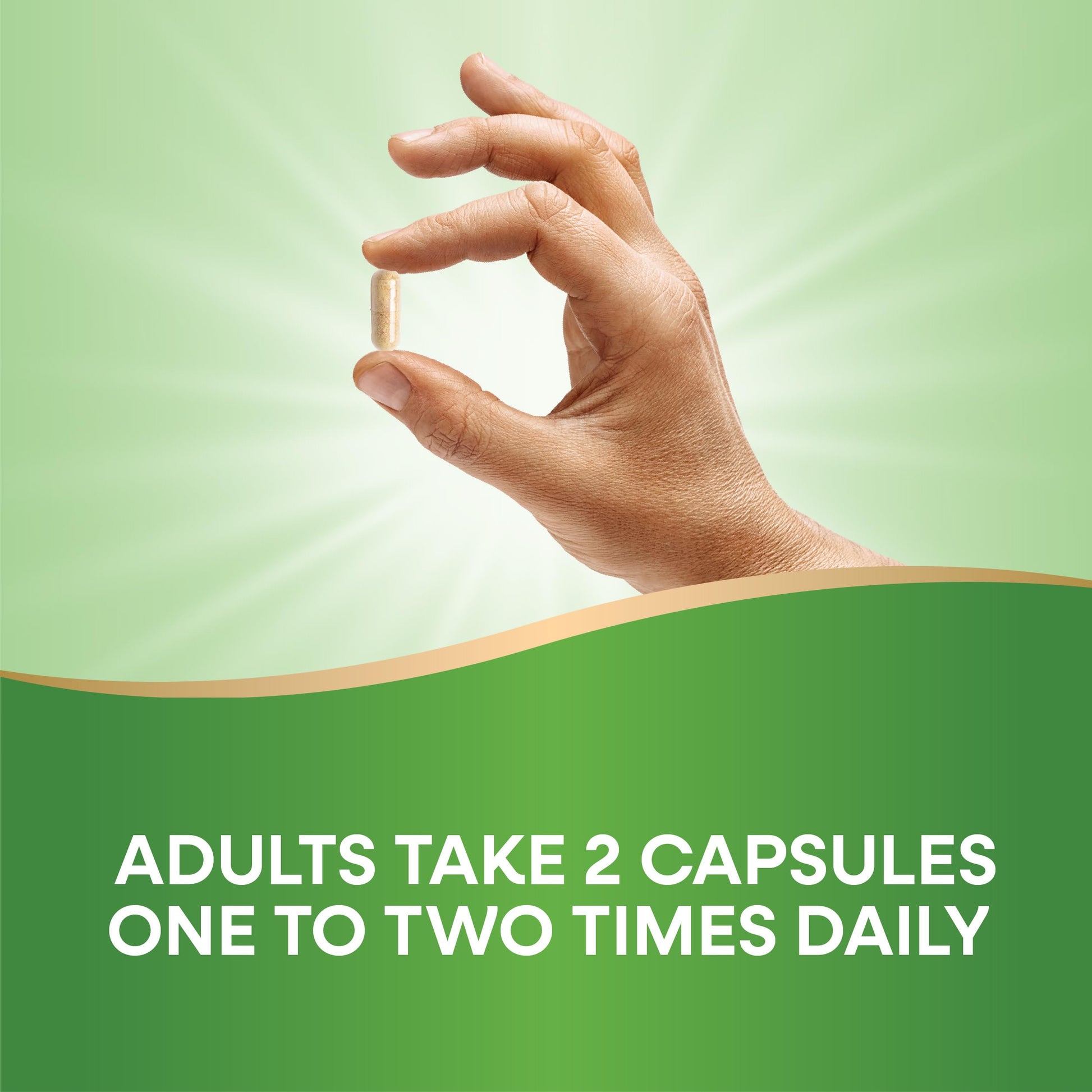 Nature's Way Premium Hem-Care, Unique Vein Health Blend*, 90 Capsules Nature's Way uk supplements