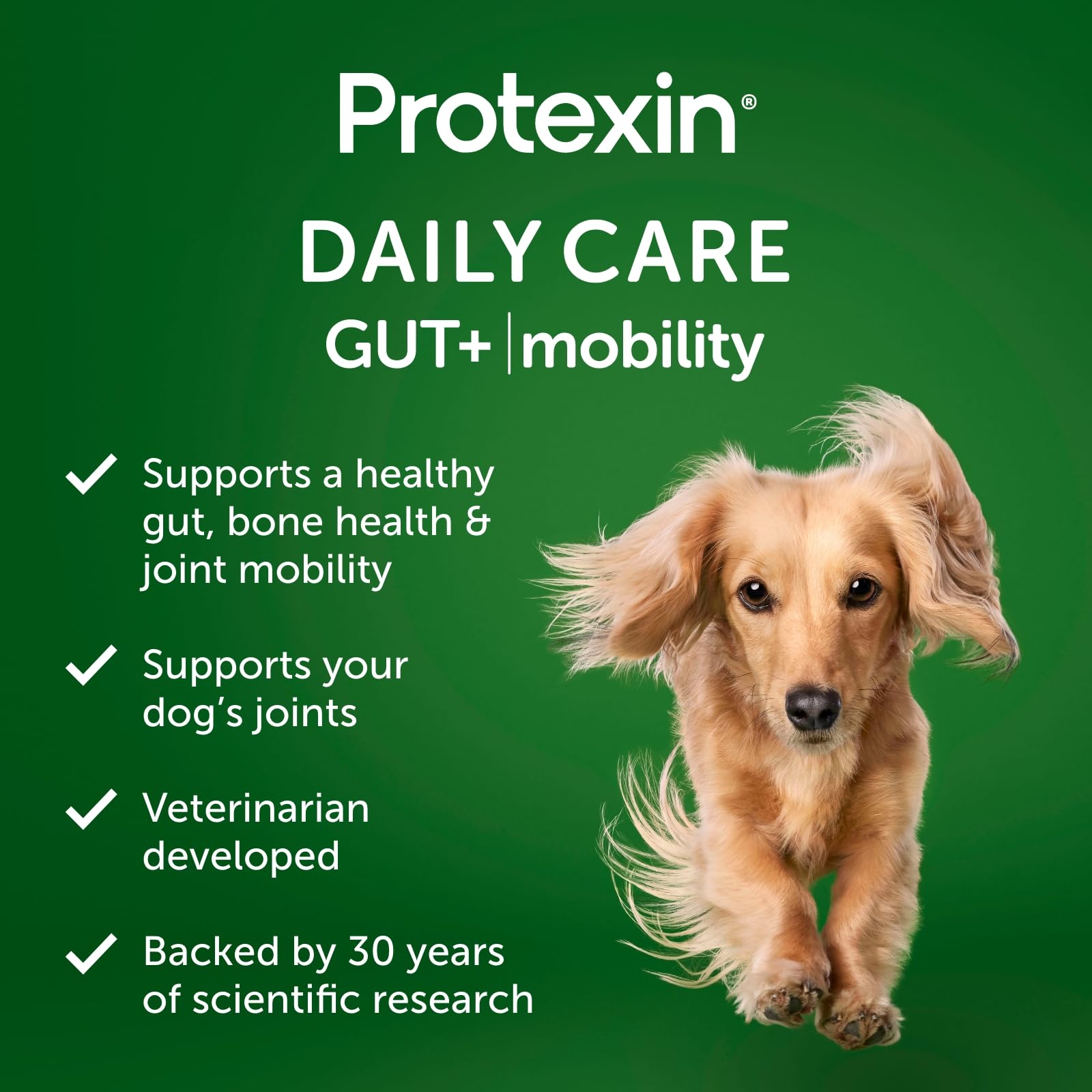 Protexin Daily Care Gut+ Mobility | 60 Dog Chews, Chicken and Bacon Flavor Dog Supplement | Probiotics for Dogs, Dog Postbiotics Protexin uk supplements