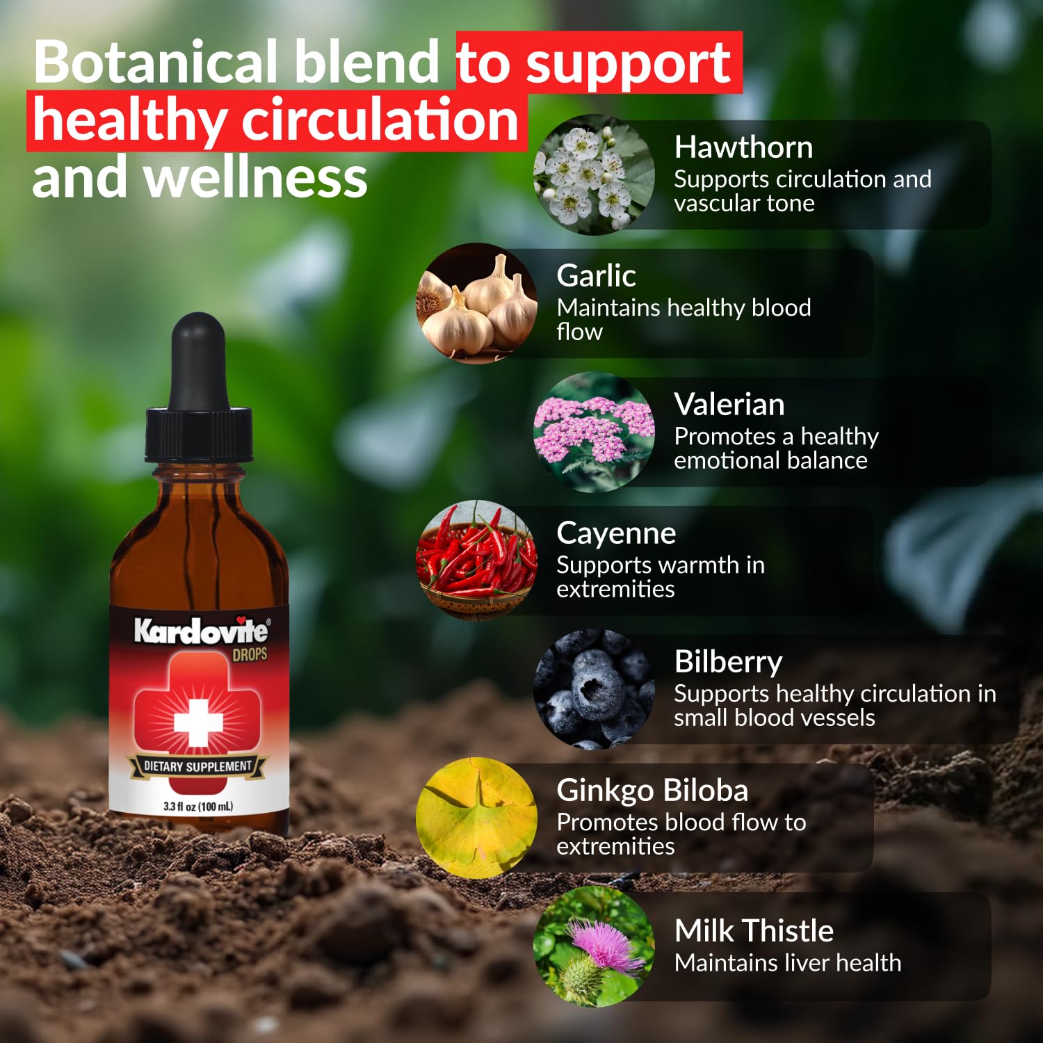 Kardovite Herbal Circulation Support Drops 100ml | Supports Circulatory Wellness with Hawthorn, Garlic, Ginkgo, Cayenne, Milk Thistle, Bilberry & Valerian | Supports Vitality & Daily Wellness Kardovite uk supplements