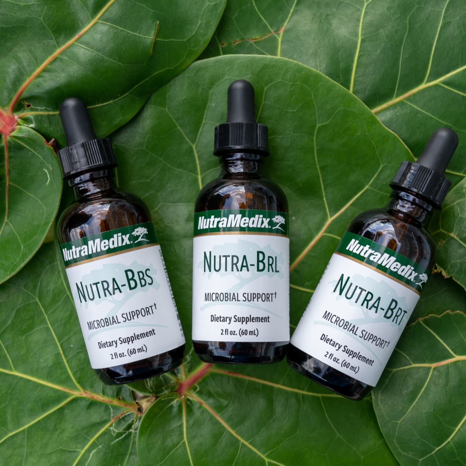 Nutramedix Nutra BRT - Liquid Herbal Supplement for Gut Health & Immune Support - Cumanda Bark & Houttuynia Leaf for Digestive Health - Immune System Booster Supplement (60mL) NutraMedix uk supplements