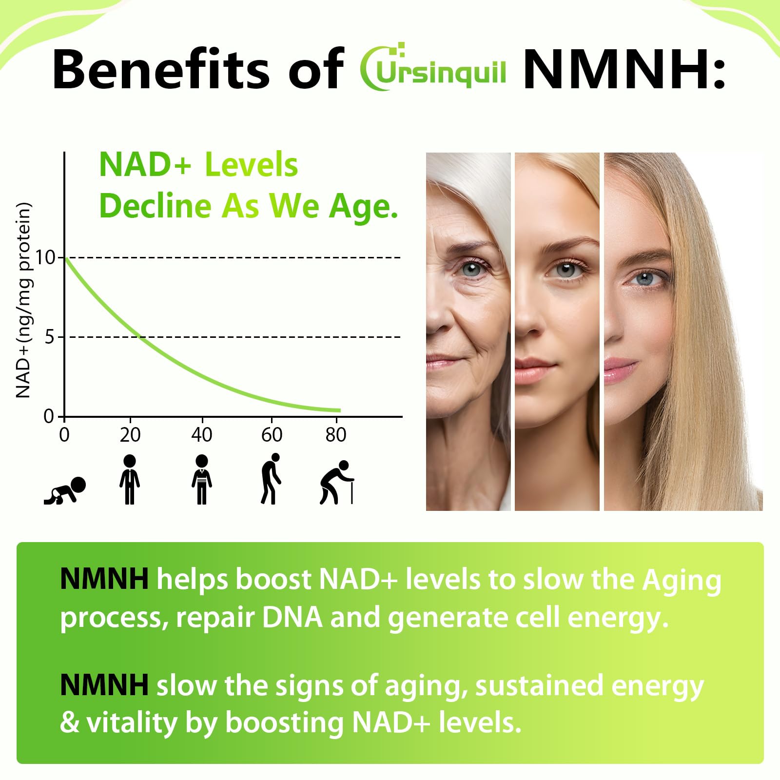 Sublingual NMNH 500mg (Dihydronicotinamide Mononucleotide) (120 Servings, NMNH 500mg per Serving) NAD Supplement to Boost NAD Levels as We Age, for Anti-Aging, Energy, Immunity, Focus - 120 Count Ursinquil uk supplements