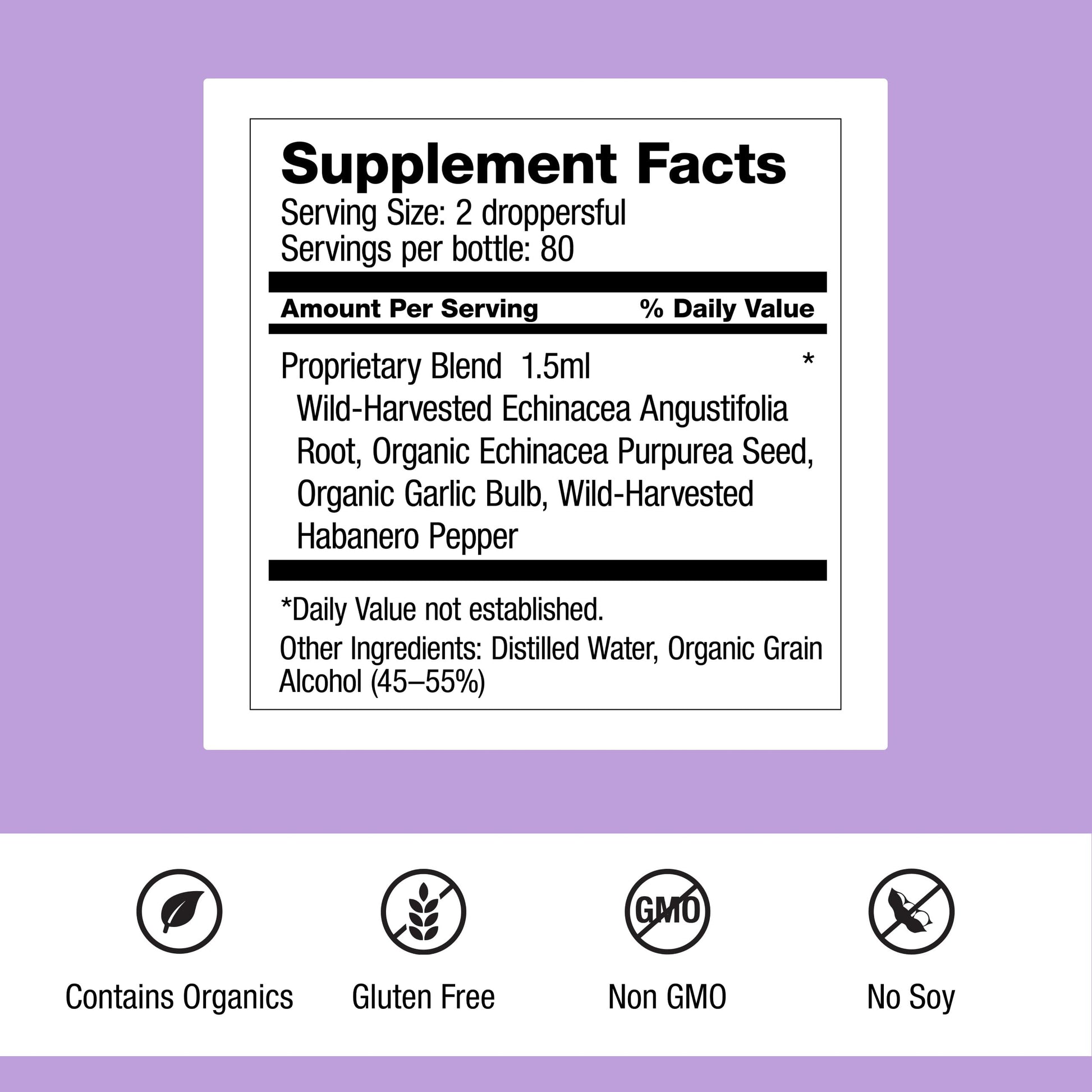Dr. Schulze's Echinacea Plus | Echinacea Root and Seed | All Organic Extract | Gluten-Free & Non-GMO for Immune System Support | 4 oz Dr. Schulze's uk supplements