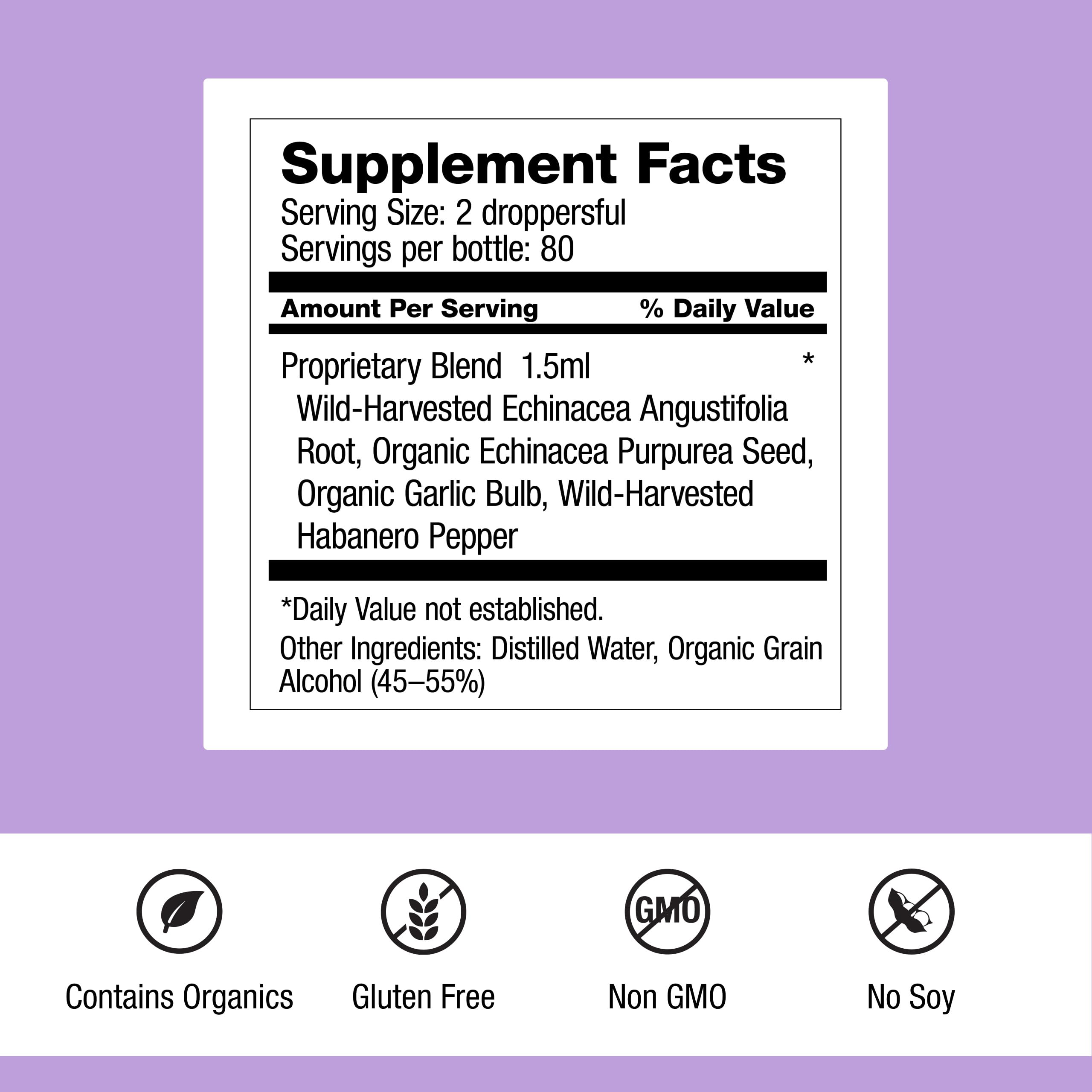Dr. Schulze's Echinacea Plus | Echinacea Root and Seed | All Organic Extract | Gluten-Free & Non-GMO for Immune System Support | 4 oz Dr. Schulze's uk supplements