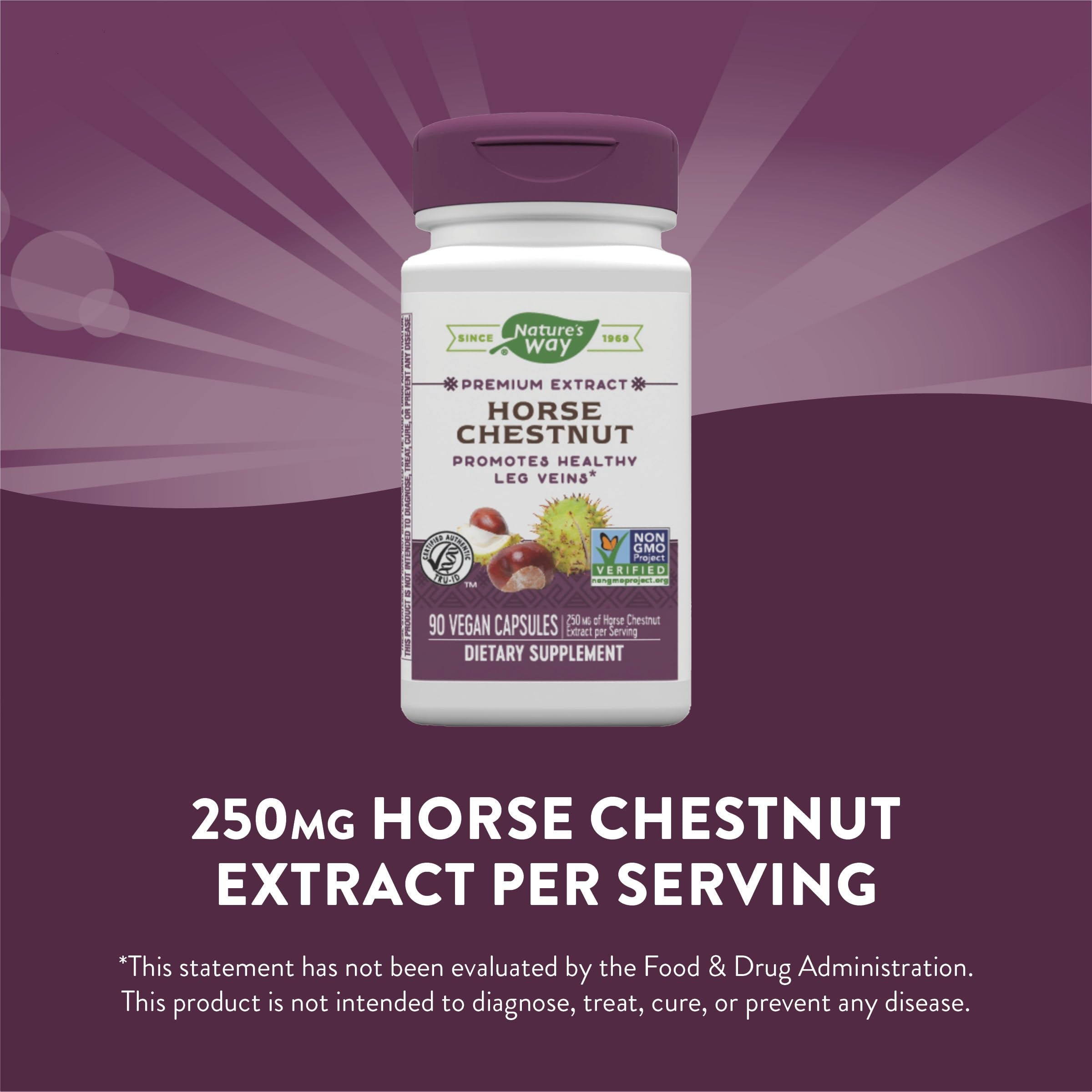 Nature's Way Standardized Horse Chestnut, Premium Extract for Healthy Veins and Blood Nature's Way uk supplements