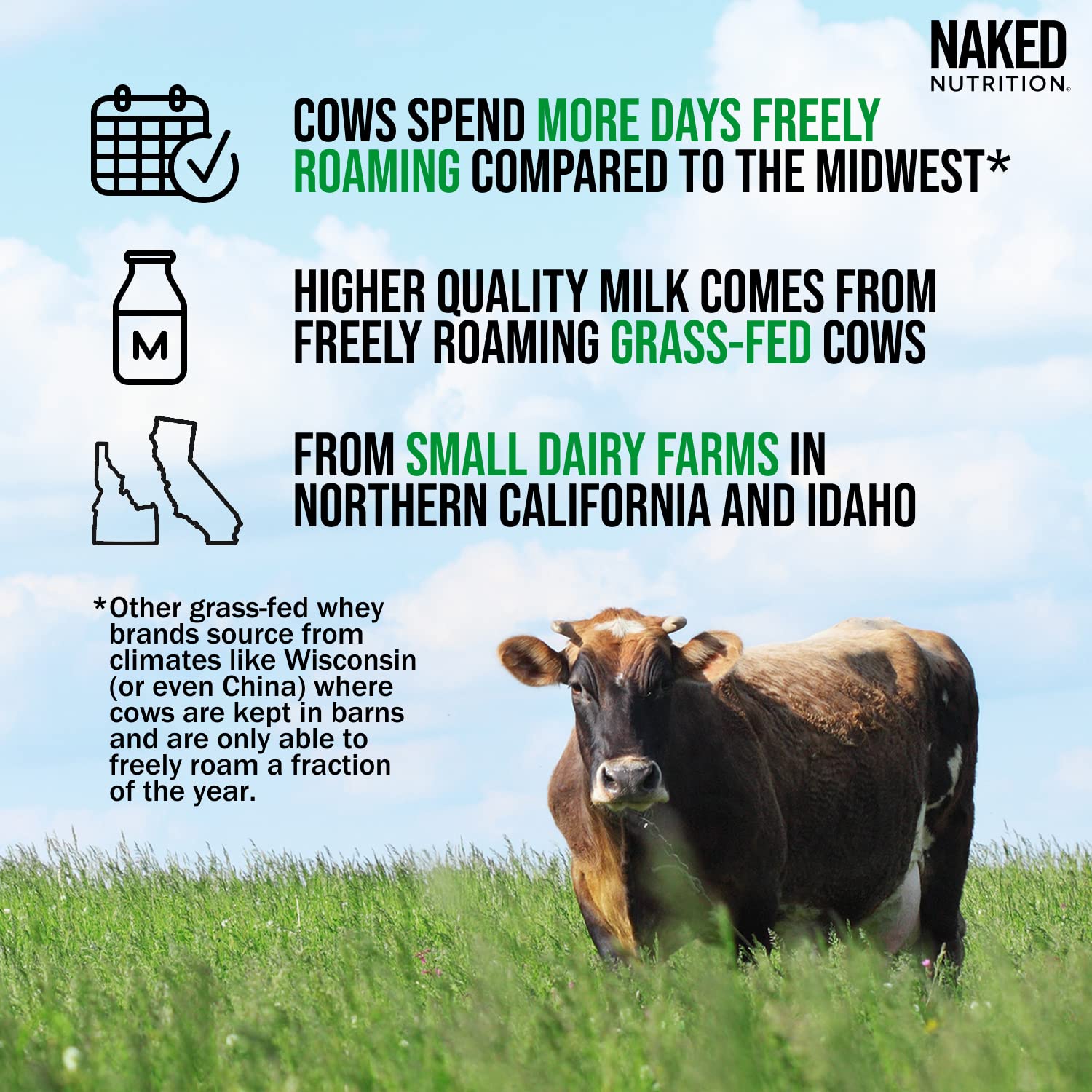 NAKED WHEY 5LB 100% Grass Fed Unflavored Whey Protein Powder - US Farms NAKED uk supplements
