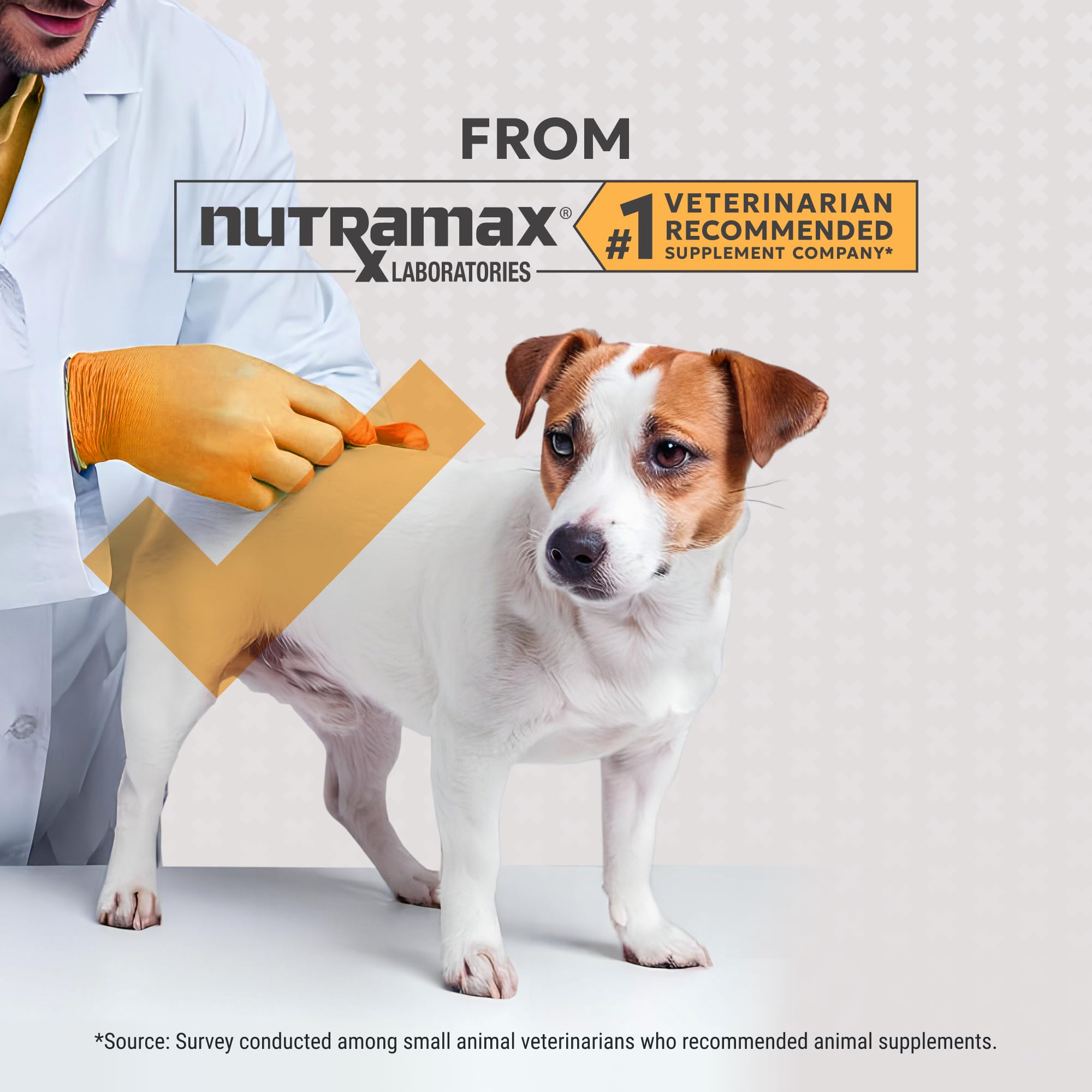 Nutramax Filaquin Anal Gland Supplement for Dogs, from The Same Company as Cosequin & Proviable, with Pre & Postbiotics and Psyllium Husk Fiber to Support Anal Gland Health, 90 Count Soft Chews Nutramax Laboratories uk supplements