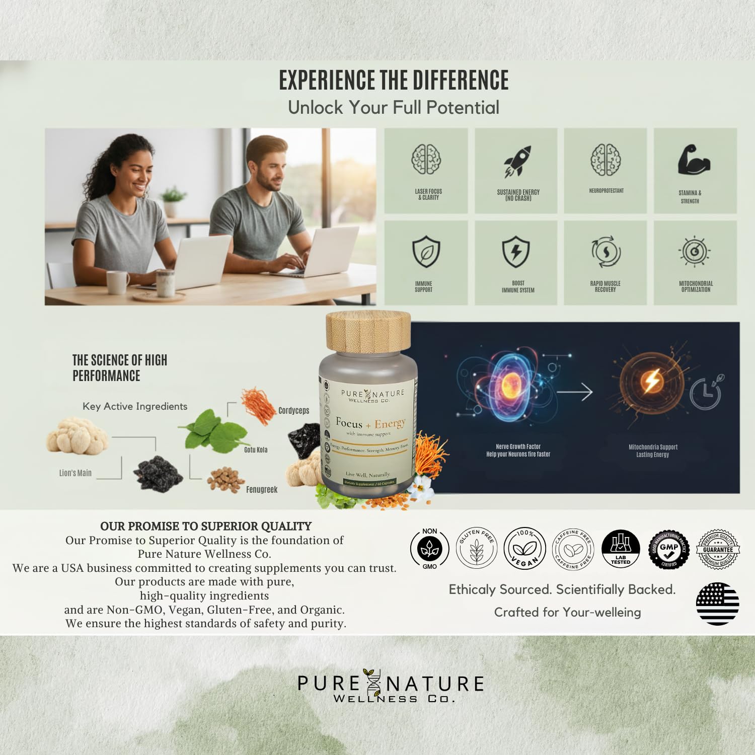 Focus + Energy + Performance Support-6-in-1 Mushroom Nootropic & Mitochondrial Complex-Advanced Brain Supplement-Natural Energy-Caffeine Free Biohack with Lion’s Mane,Cordyceps,Mumijo,Fenugreek Pure Nature Wellness Co. uk supplements