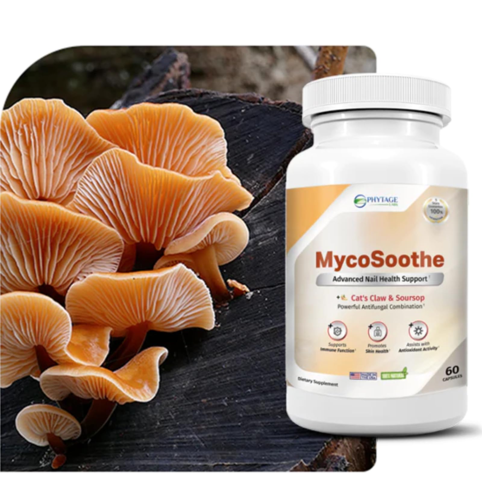 Phytage Labs MycoSoothe Advanced Hair, Skin, Nail & Immunity Support Formula - 60 Capsules Phytage Labs uk supplements