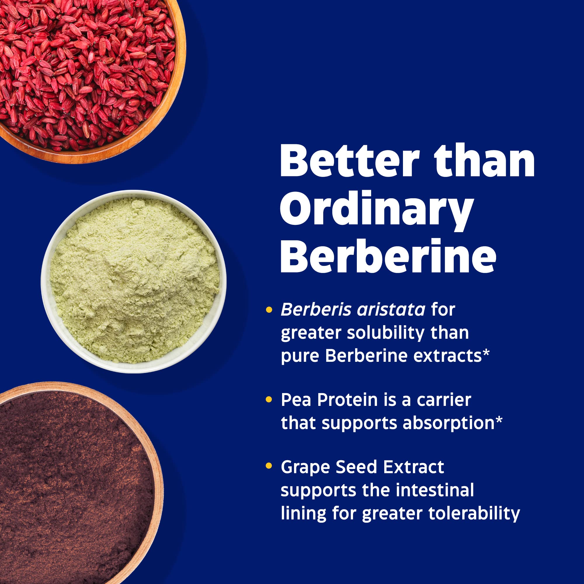 Enzymedica, Berberine Phytosome Enzymedica uk supplements