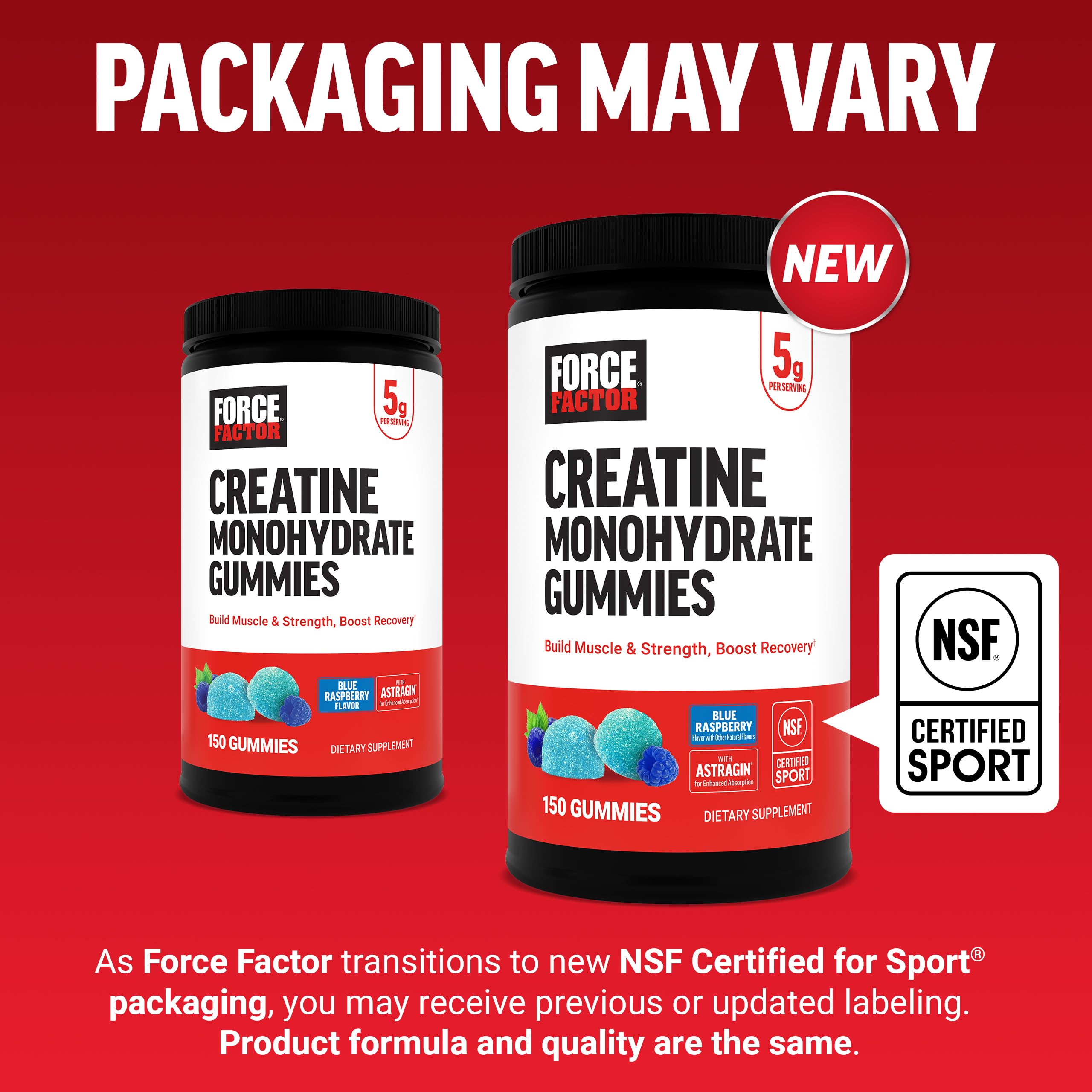 Force Factor Creatine Monohydrate Gummies, NSF Certified, 5g Dose for Men & Women to Support Muscle, Strength, Recovery, Cognitive Health & Memory, Packaging May Vary, Blue Raspberry, 150 Gummies Force Factor uk supplements